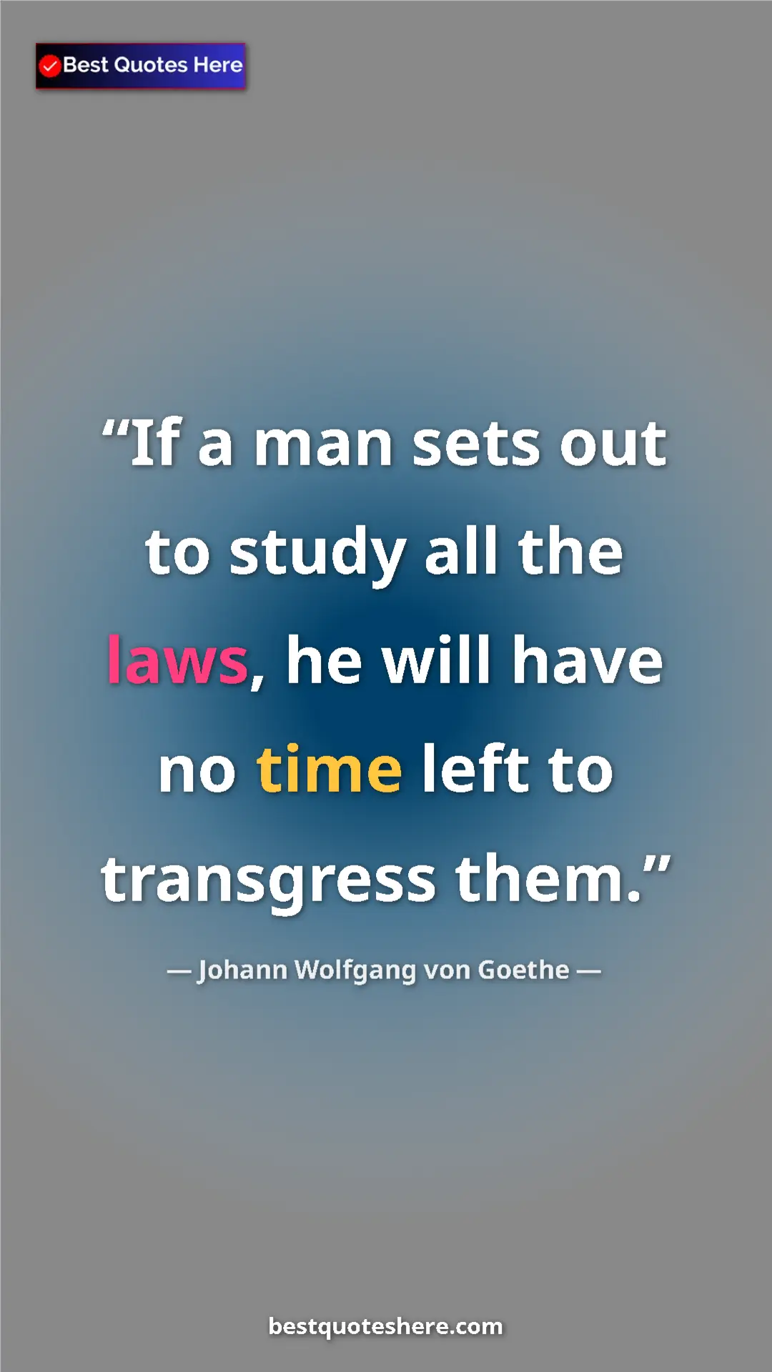 Pinterest quote poster by Johann Wolfgang von Goethe: "If a man sets out to study all the laws, he will have no..."