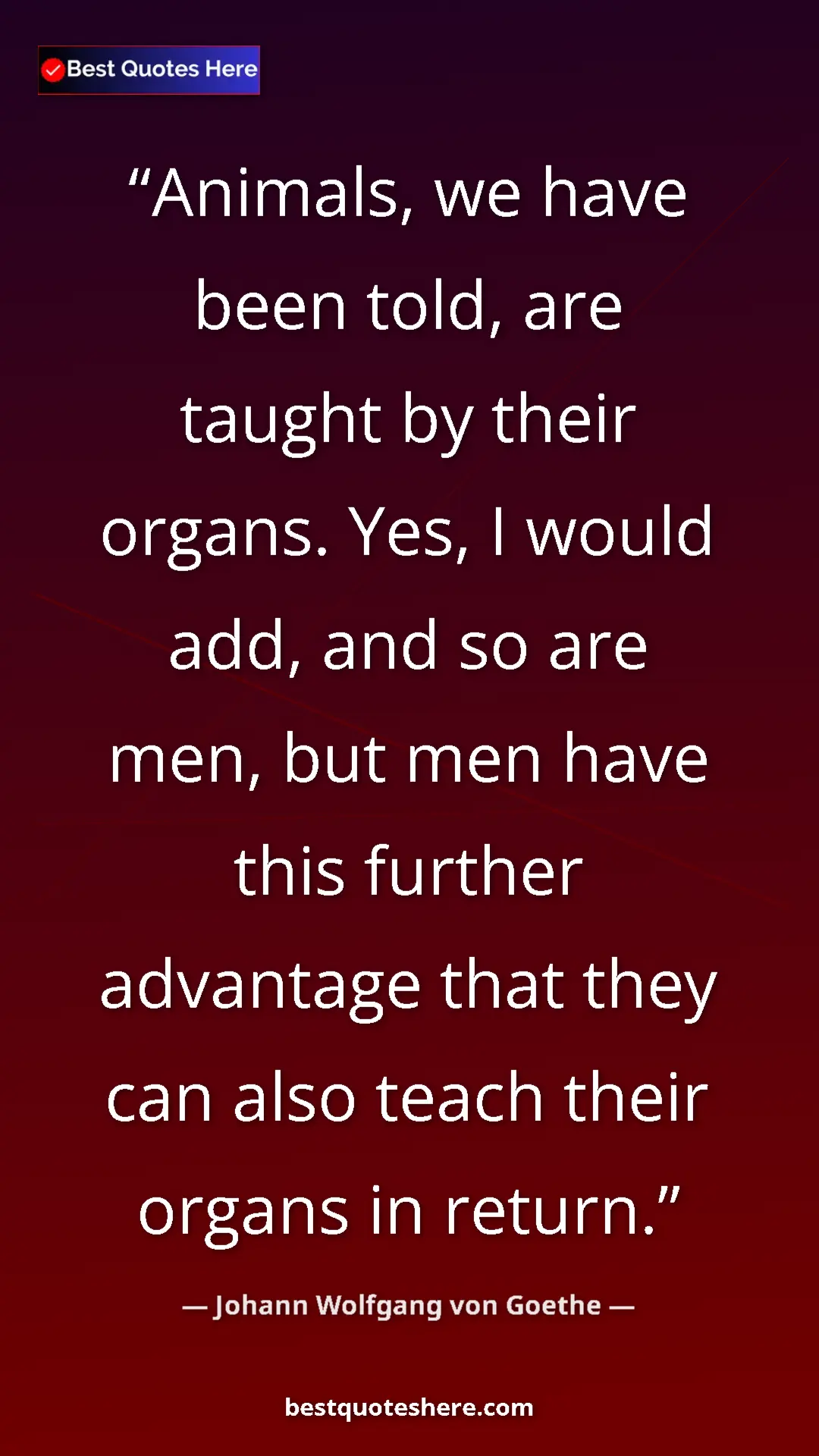 Pinterest quote poster by Johann Wolfgang von Goethe: "Animals, we have been told, are taught by their organs...."