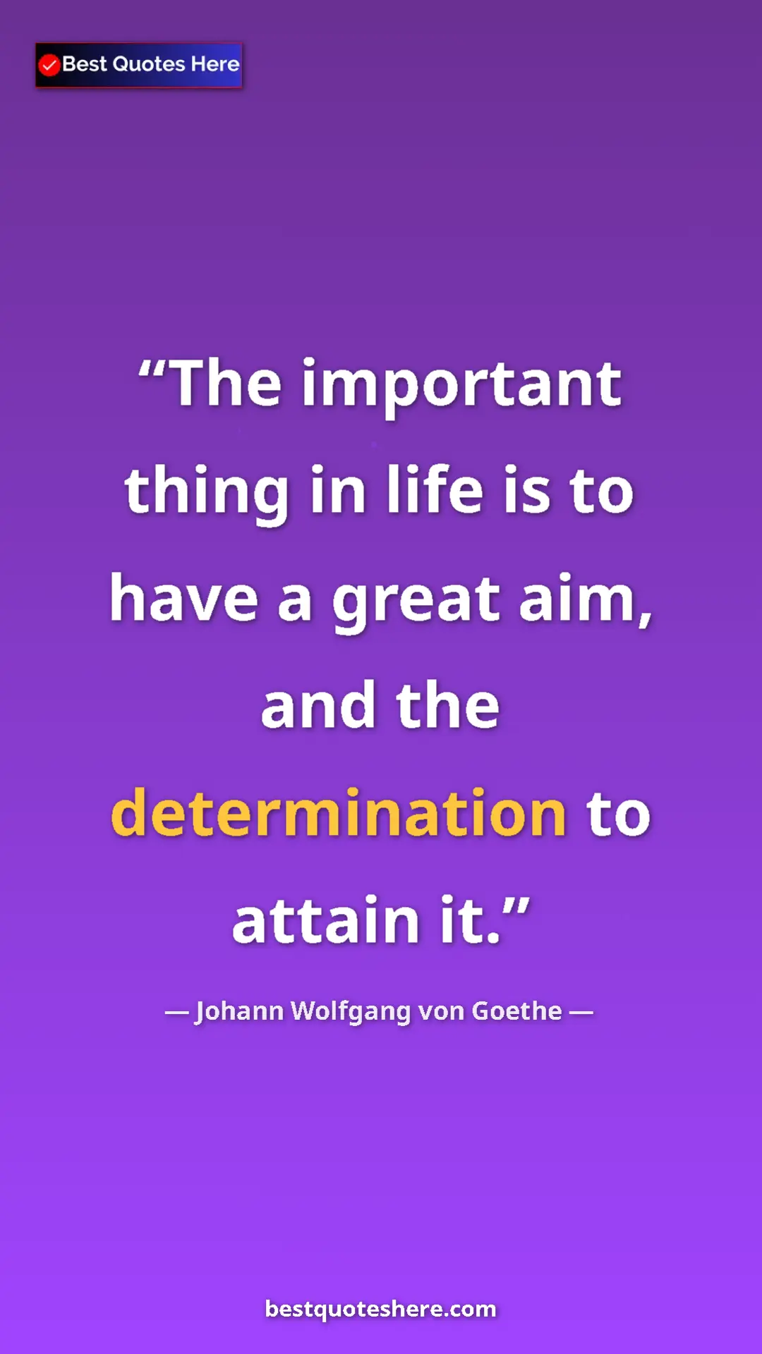 Pinterest quote poster by Johann Wolfgang von Goethe: "The important thing in life is to have a great aim, and the..."