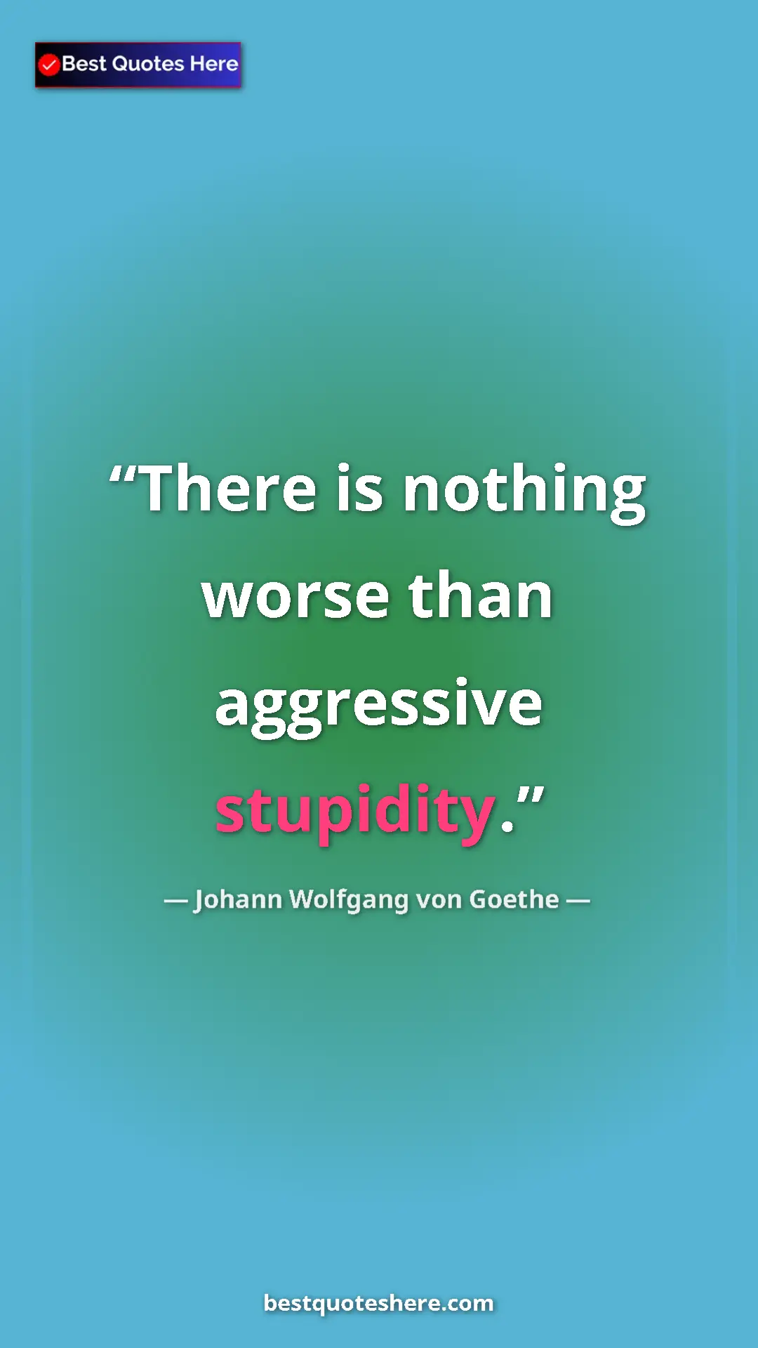 Pinterest quote poster by Johann Wolfgang von Goethe: "There is nothing worse than aggressive stupidity."