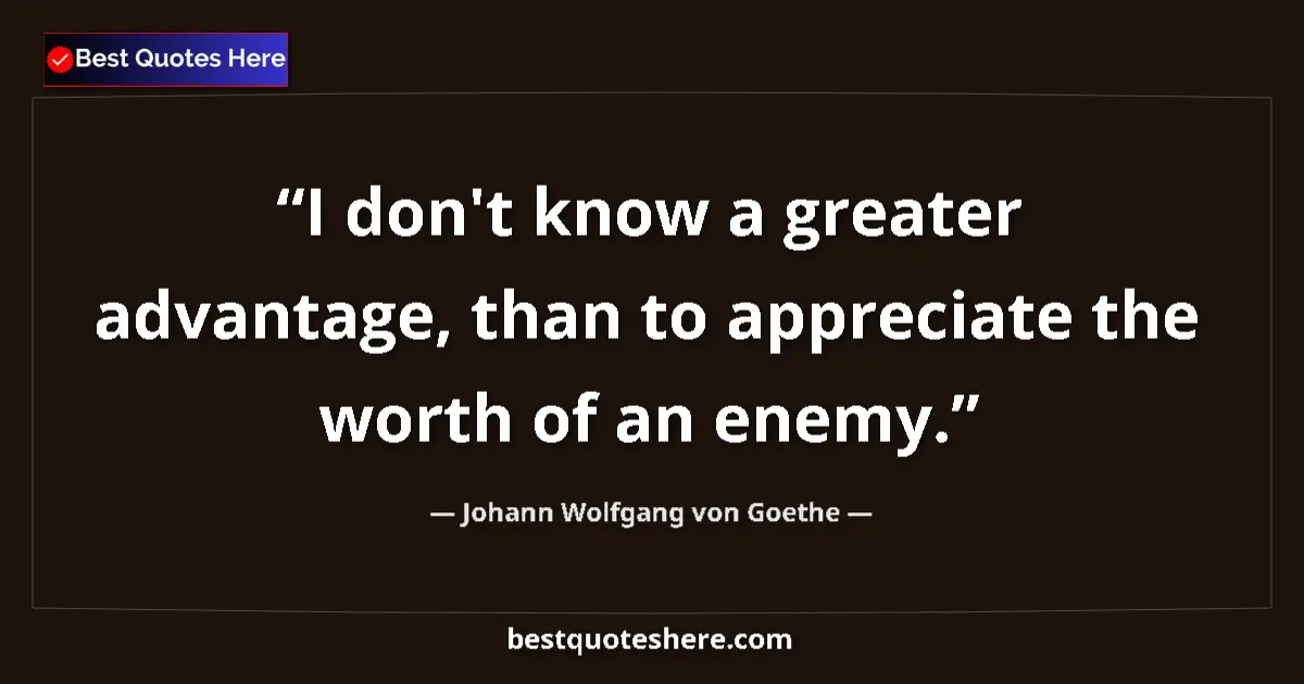 Quote by Johann Wolfgang von Goethe: I don't know a greater advantage, than to appreciate the worth of an enemy....
