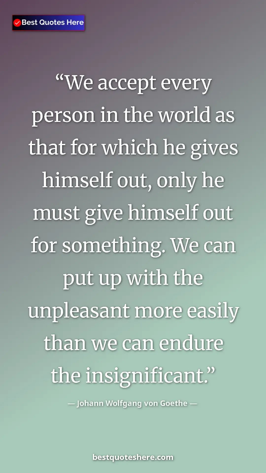 Pinterest quote poster by Johann Wolfgang von Goethe: "We accept every person in the world as that for which he..."