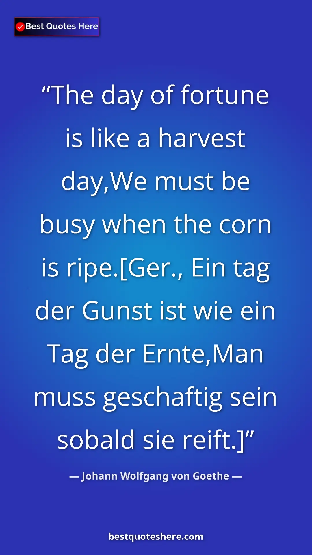Pinterest quote poster by Johann Wolfgang von Goethe: "The day of fortune is like a harvest day,We must be busy..."