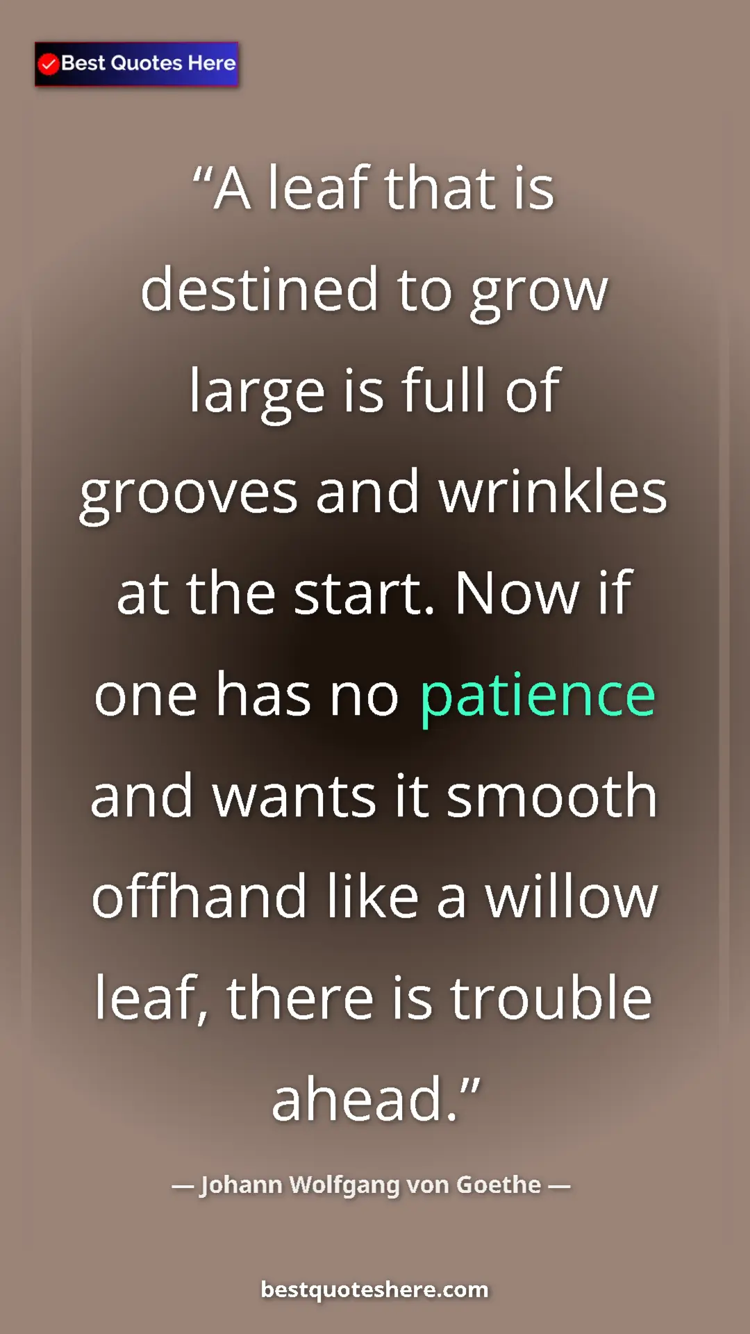 Pinterest quote poster by Johann Wolfgang von Goethe: "A leaf that is destined to grow large is full of grooves..."