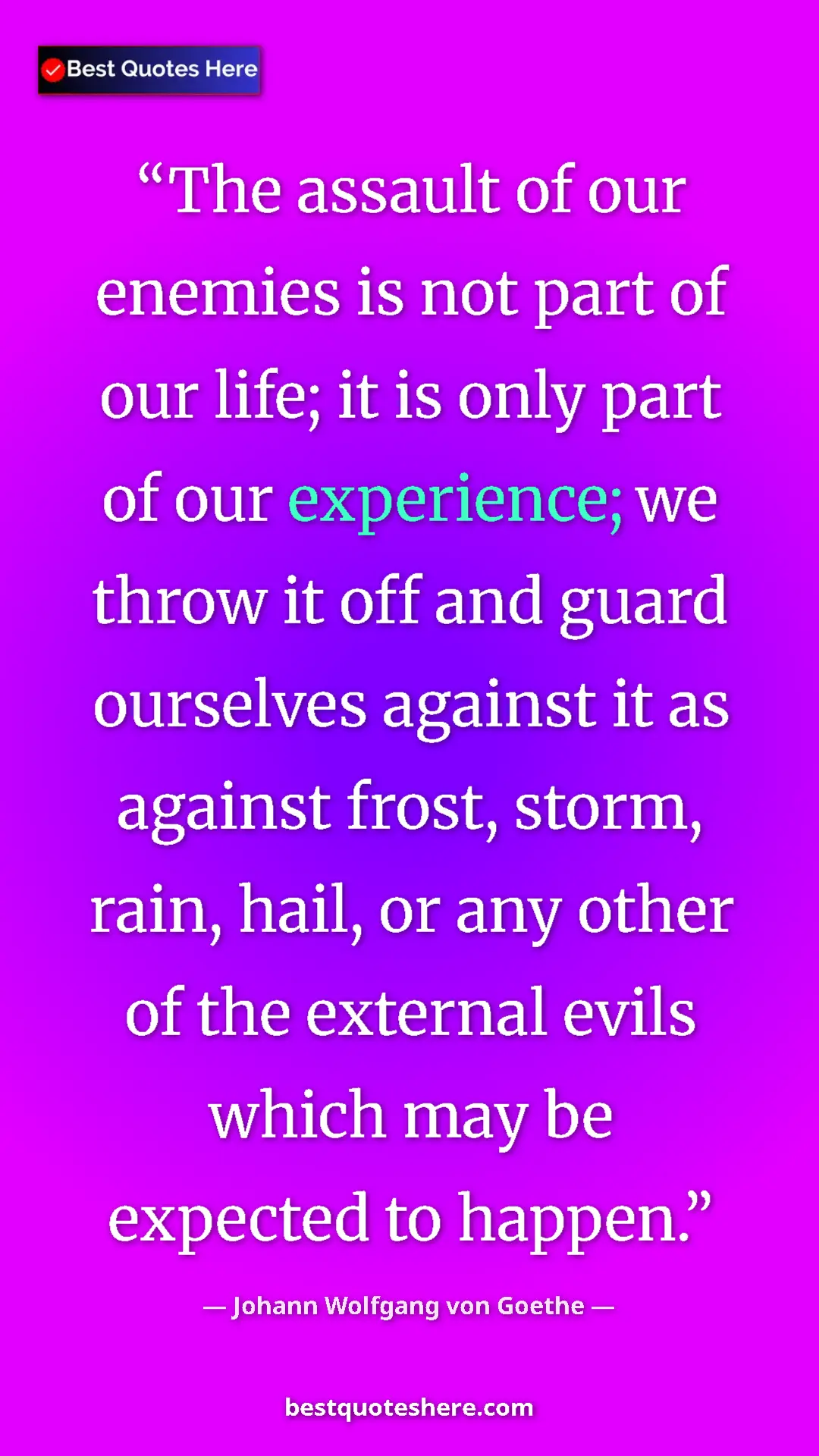 Pinterest quote poster by Johann Wolfgang von Goethe: "The assault of our enemies is not part of our life; it is..."