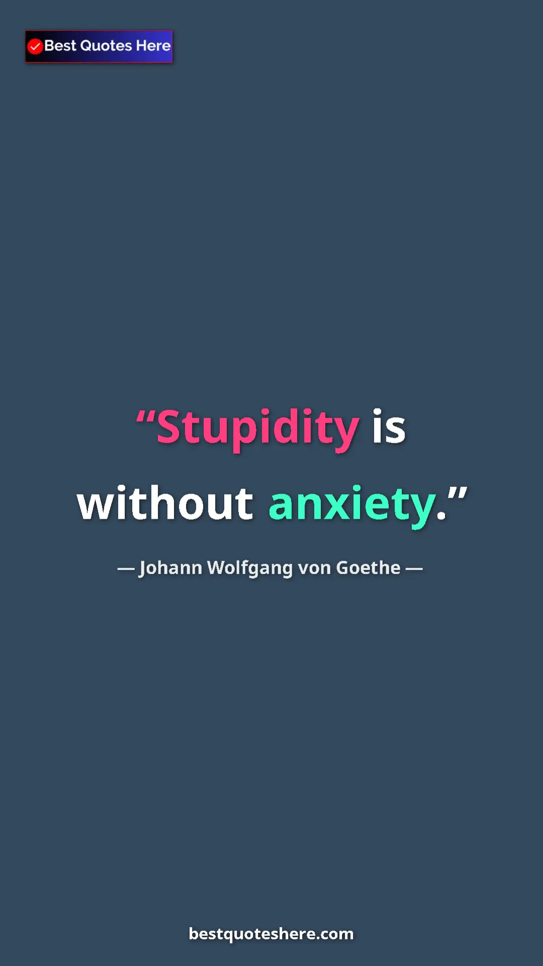 Pinterest quote poster by Johann Wolfgang von Goethe: "Stupidity is without anxiety."