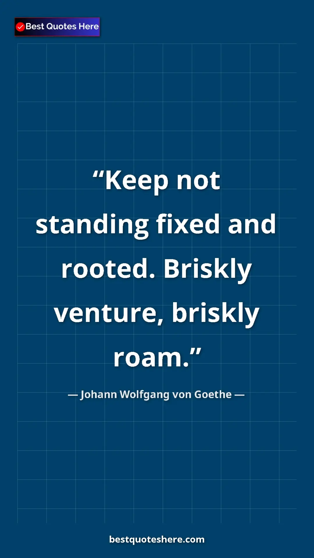 Pinterest quote poster by Johann Wolfgang von Goethe: "Keep not standing fixed and rooted. Briskly venture,..."