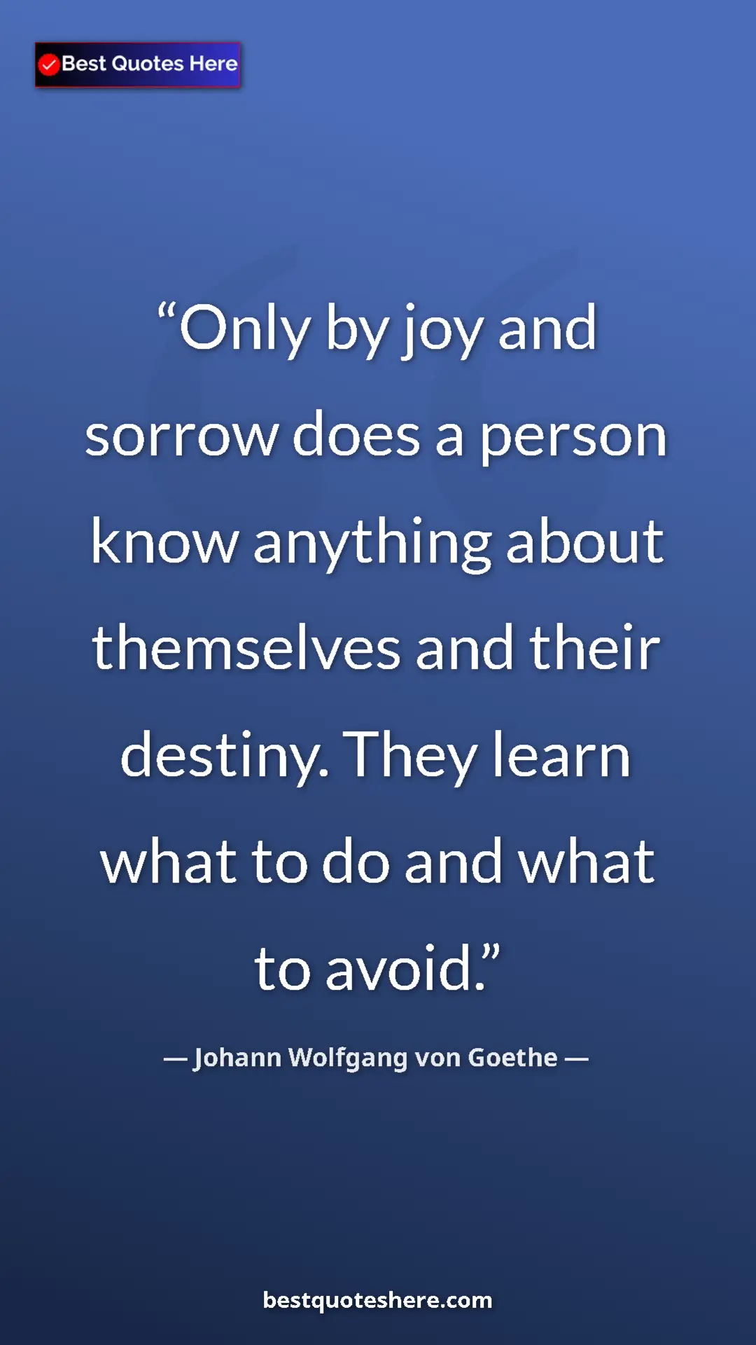 Pinterest quote poster by Johann Wolfgang von Goethe: "Only by joy and sorrow does a person know anything about..."