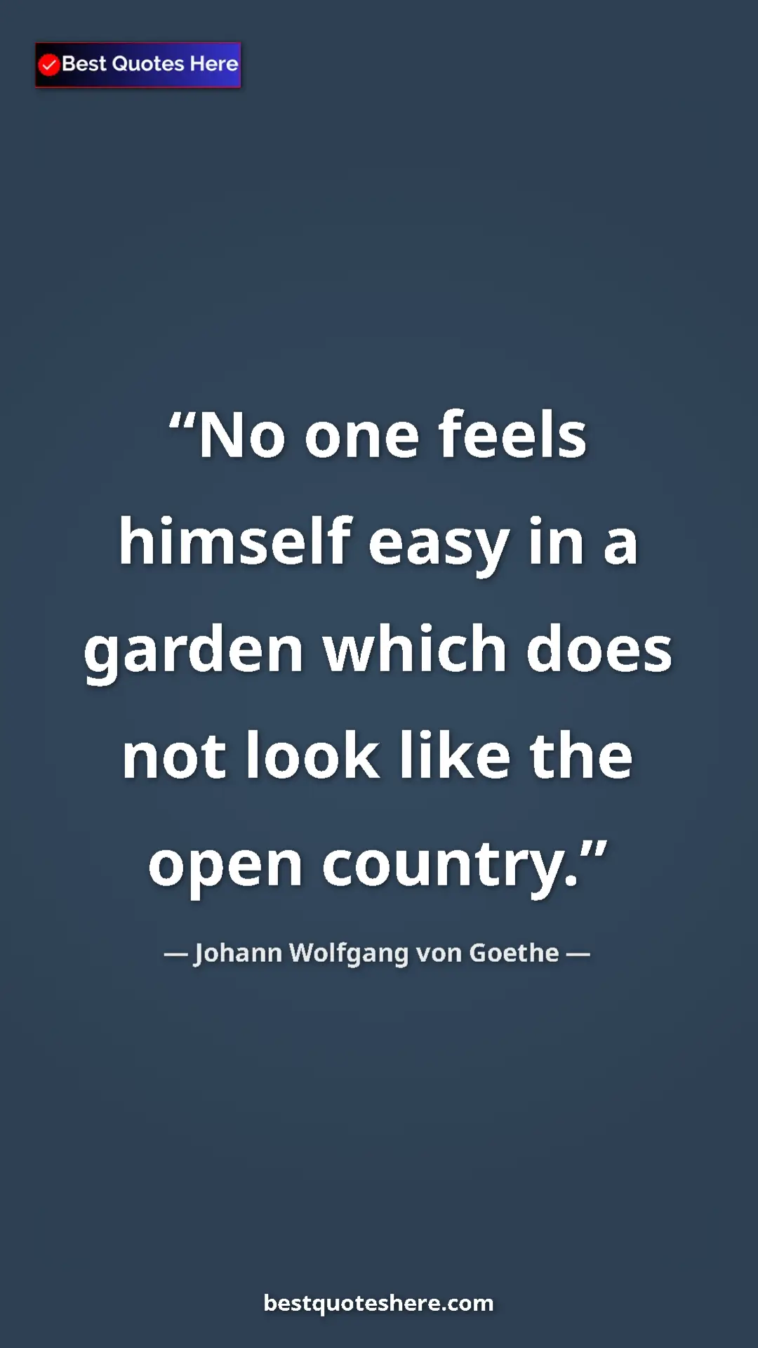 Pinterest quote poster by Johann Wolfgang von Goethe: "No one feels himself easy in a garden which does not look..."