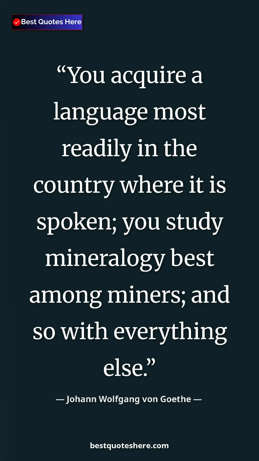 Pinterest quote poster by Johann Wolfgang von Goethe: "You acquire a language most readily in the country where it..."