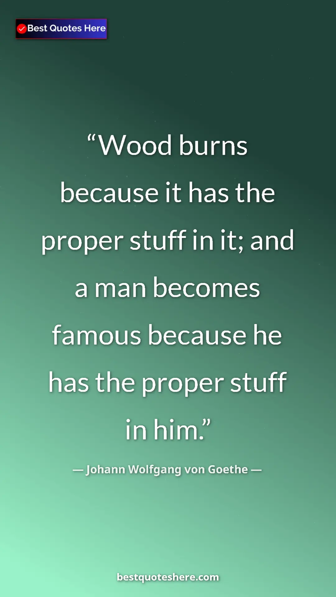 Pinterest quote poster by Johann Wolfgang von Goethe: "Wood burns because it has the proper stuff in it; and a man..."