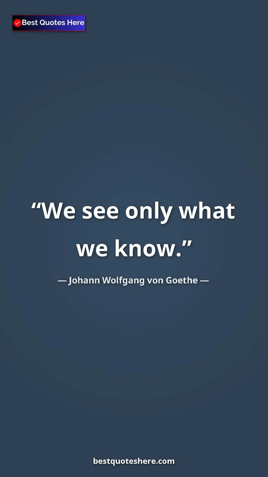 Pinterest quote poster by Johann Wolfgang von Goethe: "We see only what we know."