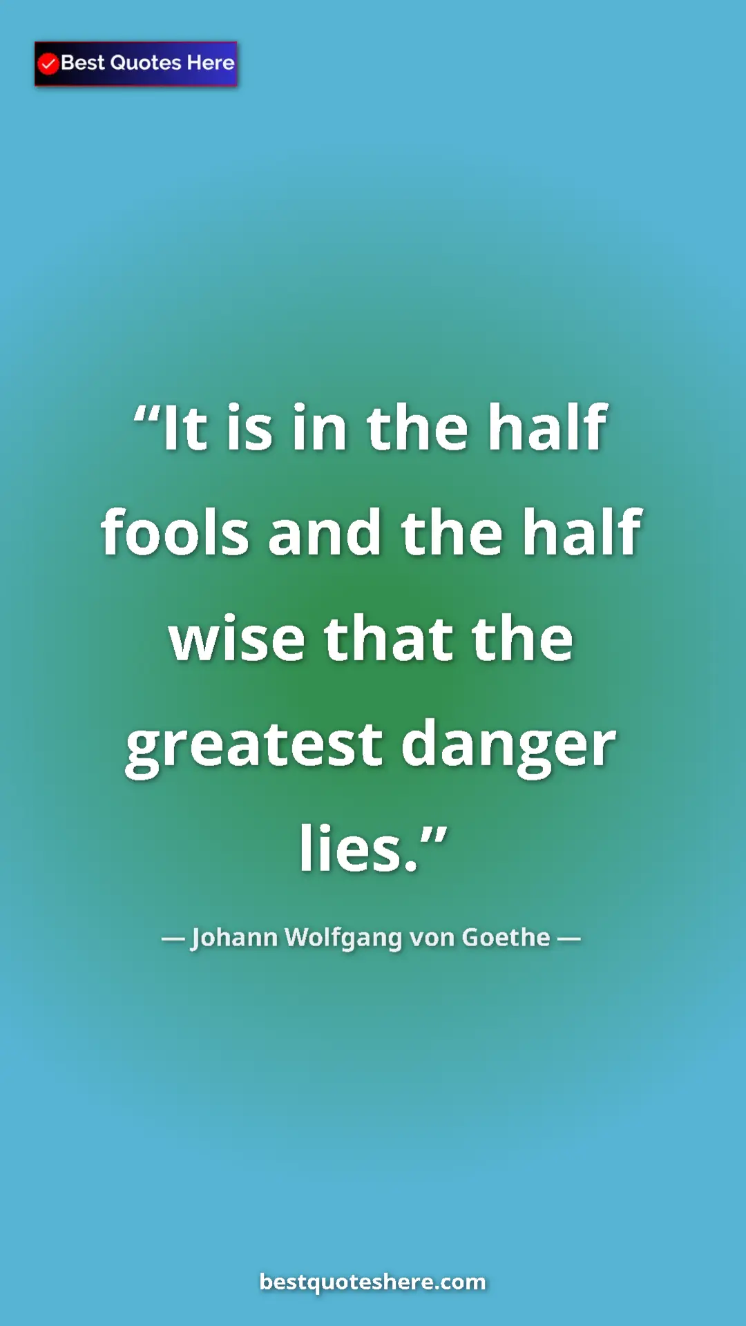 Pinterest quote poster by Johann Wolfgang von Goethe: "It is in the half fools and the half wise that the greatest..."