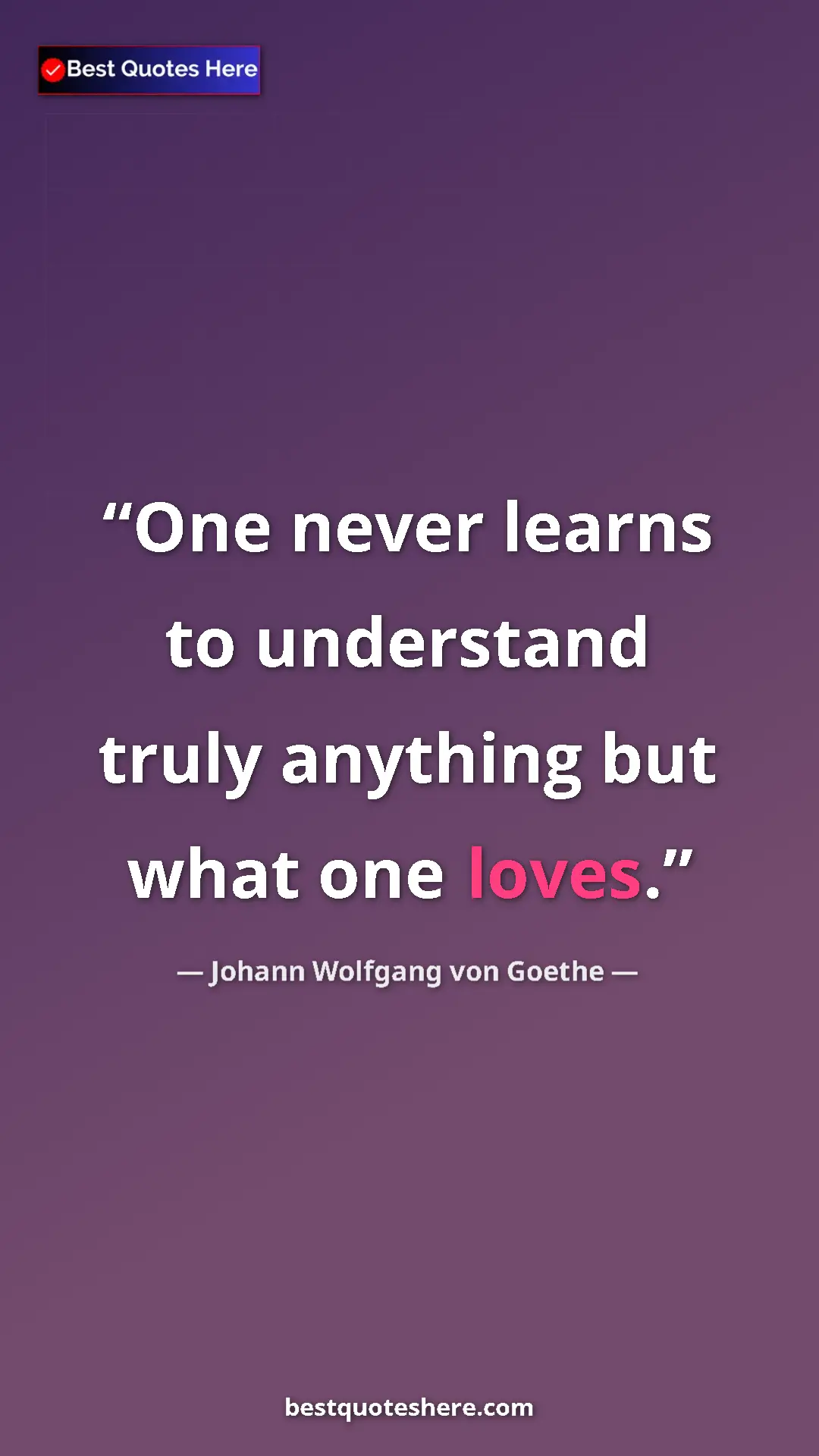Pinterest quote poster by Johann Wolfgang von Goethe: "One never learns to understand truly anything but what one..."