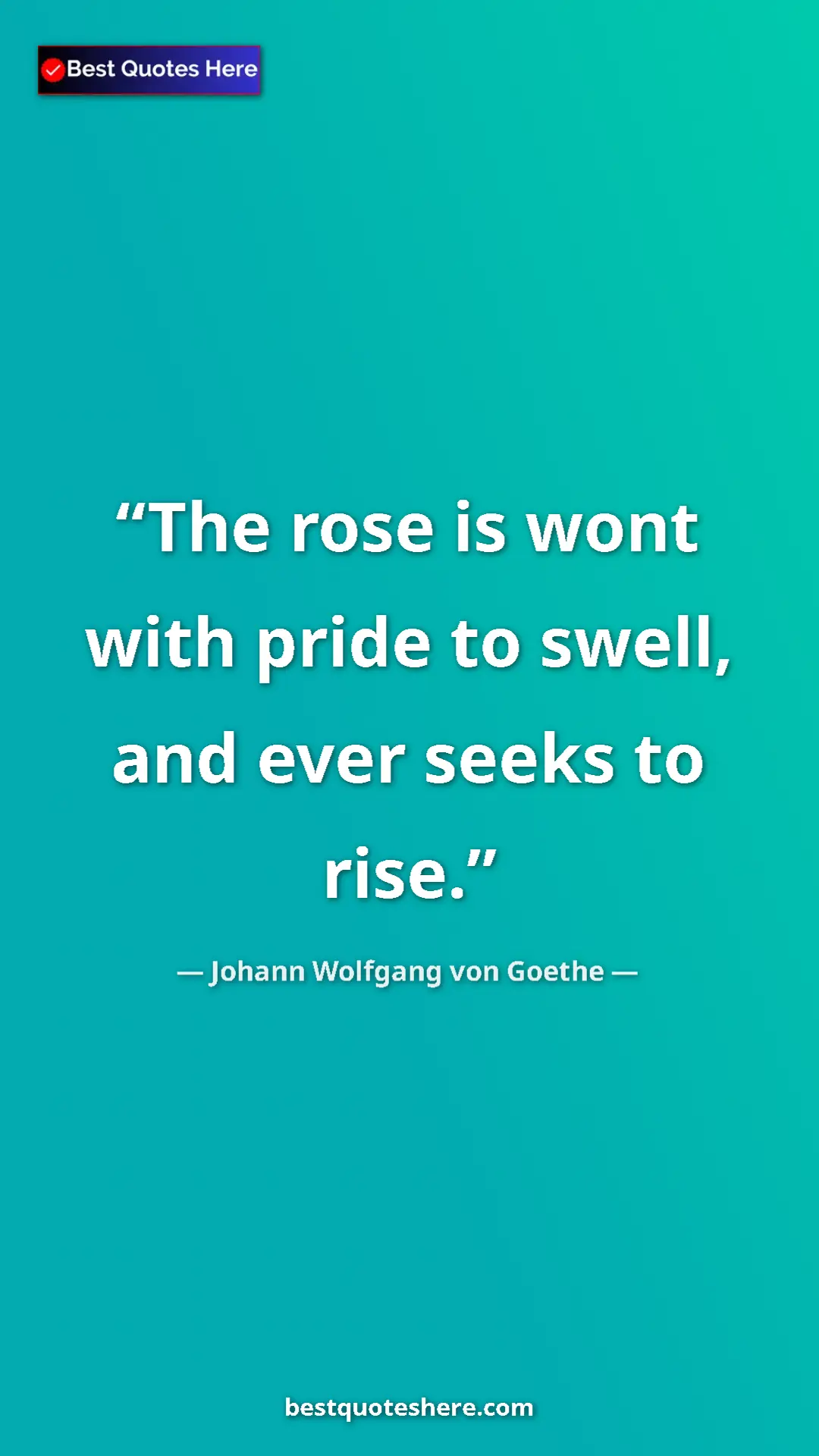 Pinterest quote poster by Johann Wolfgang von Goethe: "The rose is wont with pride to swell, and ever seeks to..."