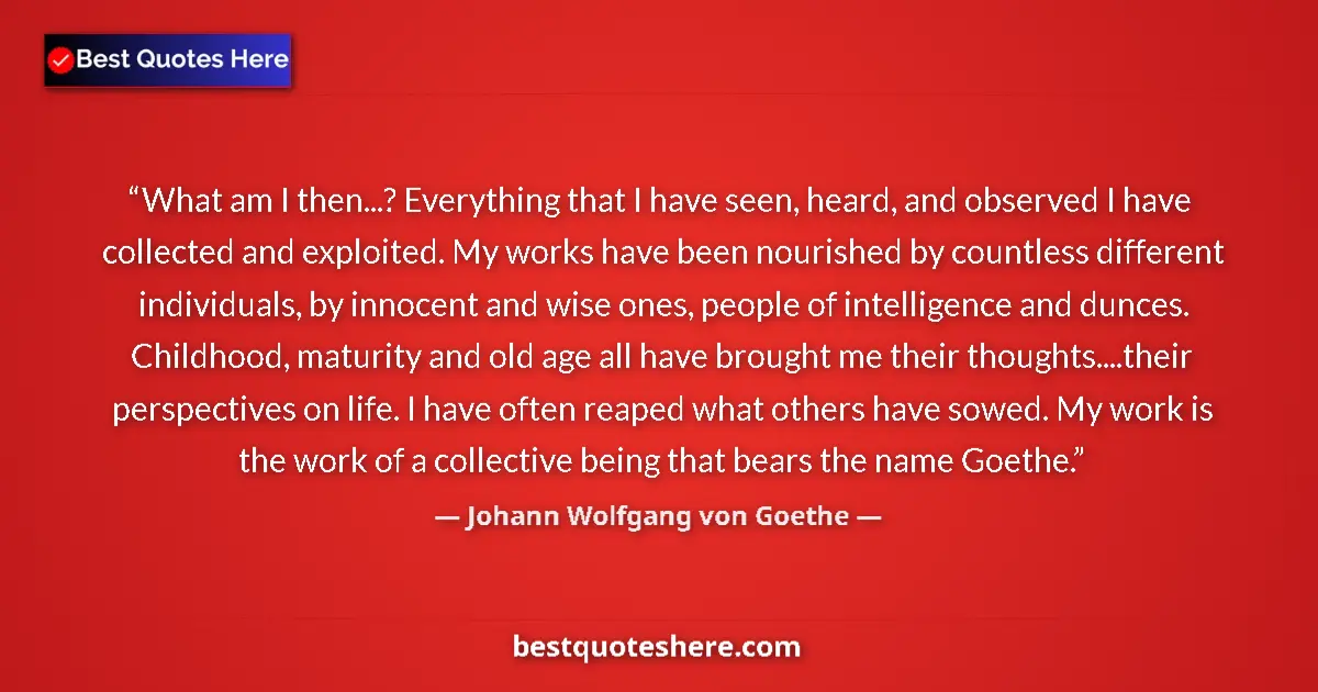 Image for the quote by Johann Wolfgang Von Goethe: What am I then...? Everything that I have seen, heard, and observed I have collected and exploited. ...
