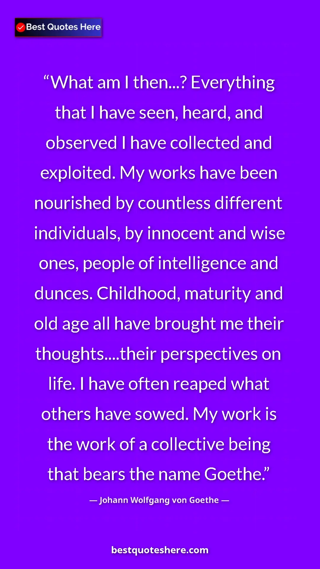 Pinterest quote poster by Johann Wolfgang von Goethe: "What am I then...? Everything that I have seen, heard, and..."