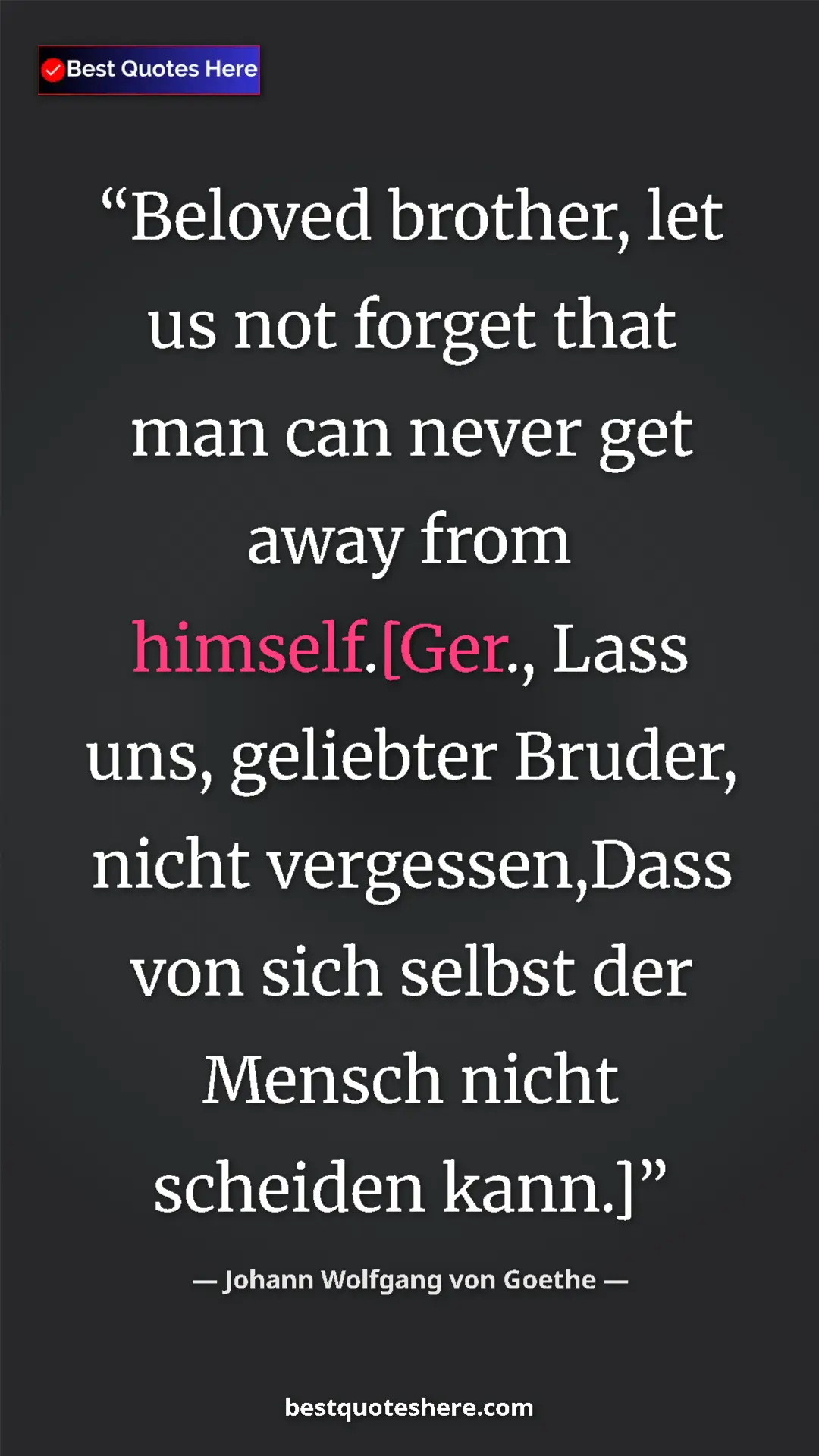 Pinterest quote poster by Johann Wolfgang von Goethe: "Beloved brother, let us not forget that man can never get..."