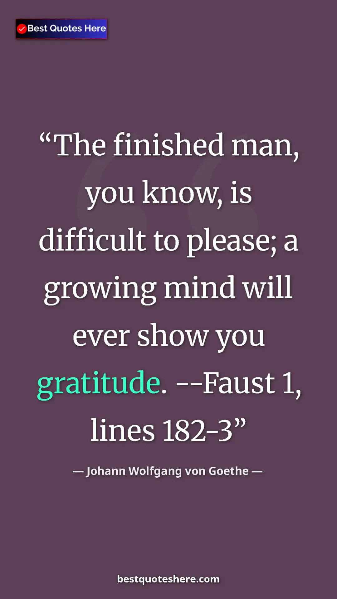 Pinterest quote poster by Johann Wolfgang von Goethe: "The finished man, you know, is difficult to please; a..."