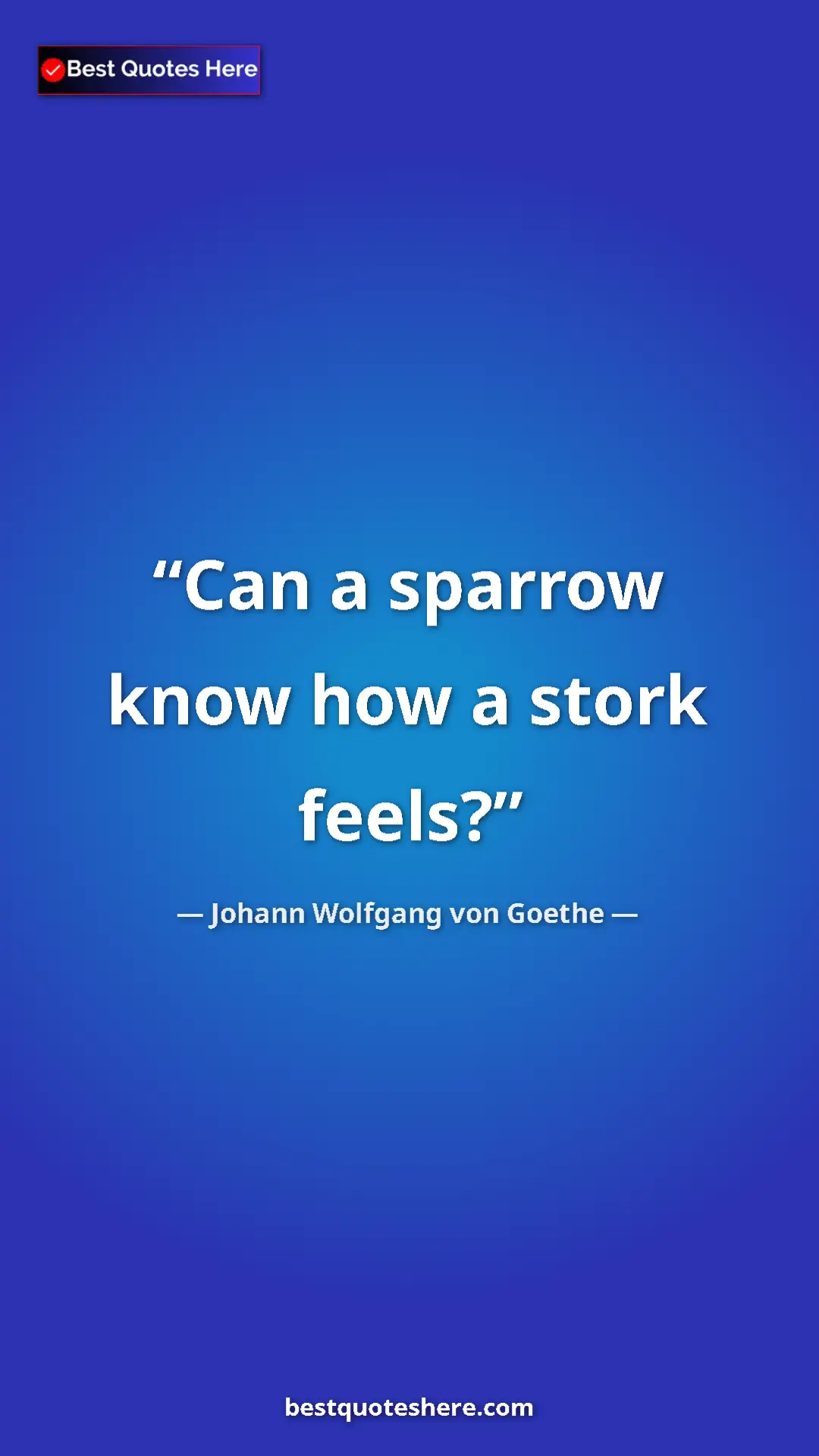 Pinterest quote poster by Johann Wolfgang von Goethe: "Can a sparrow know how a stork feels?"