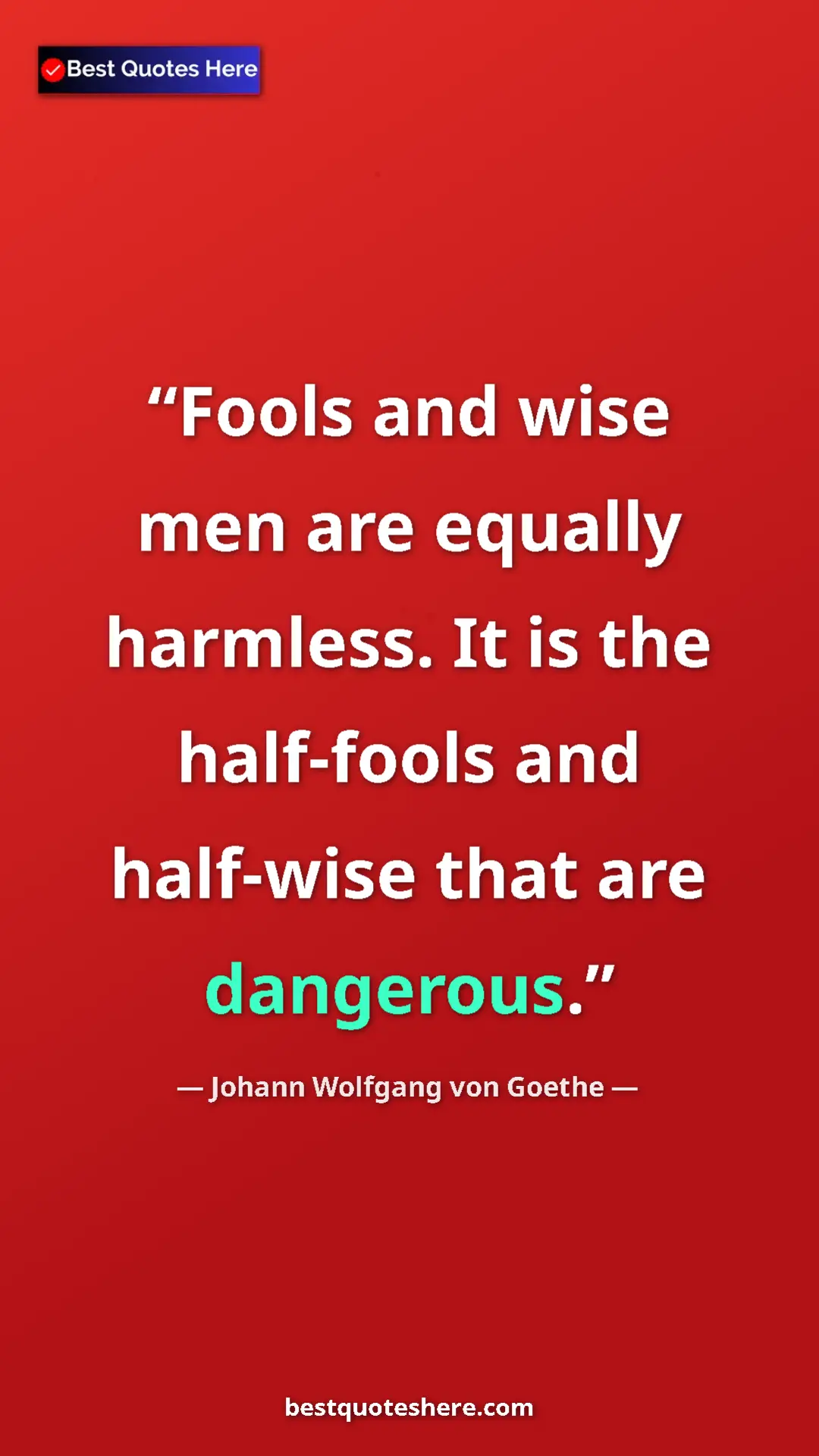 Pinterest quote poster by Johann Wolfgang von Goethe: "Fools and wise men are equally harmless. It is the..."