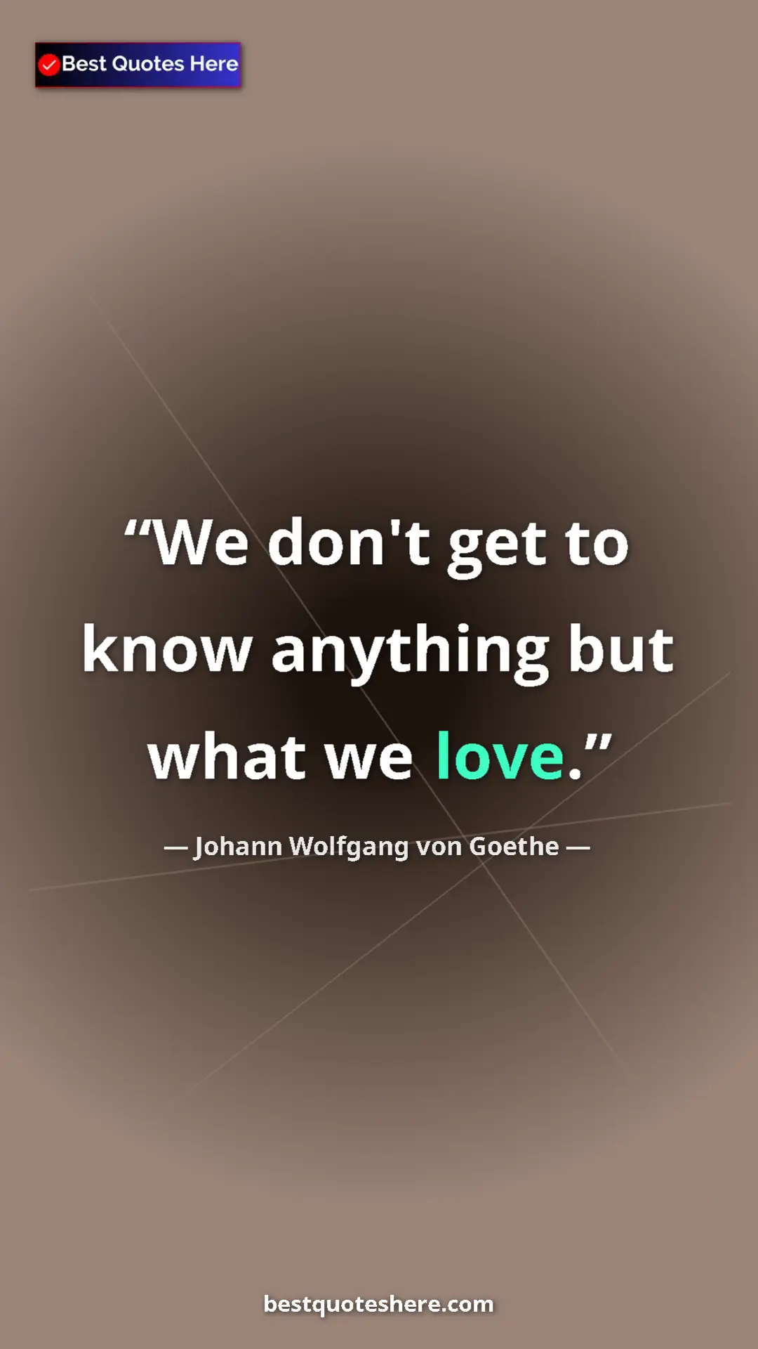 Pinterest quote poster by Johann Wolfgang von Goethe: "We don't get to know anything but what we love."