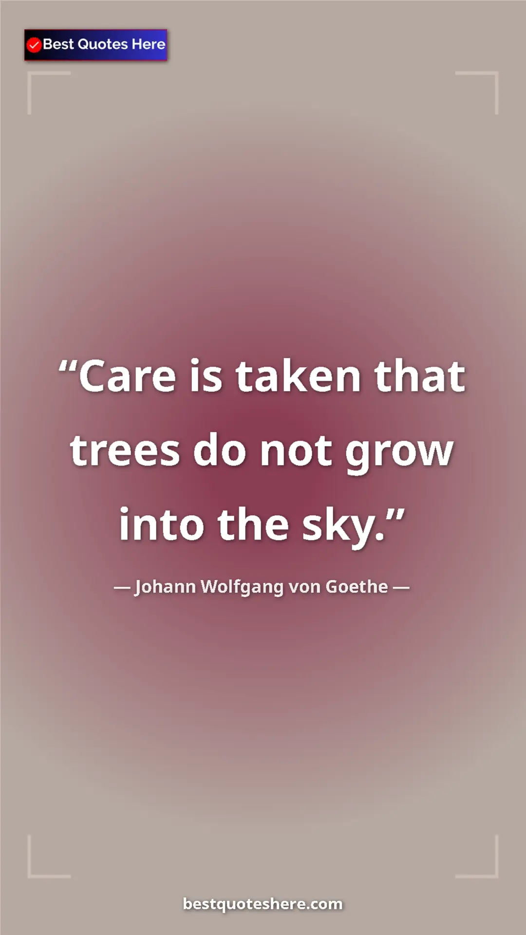 Pinterest quote poster by Johann Wolfgang von Goethe: "Care is taken that trees do not grow into the sky."