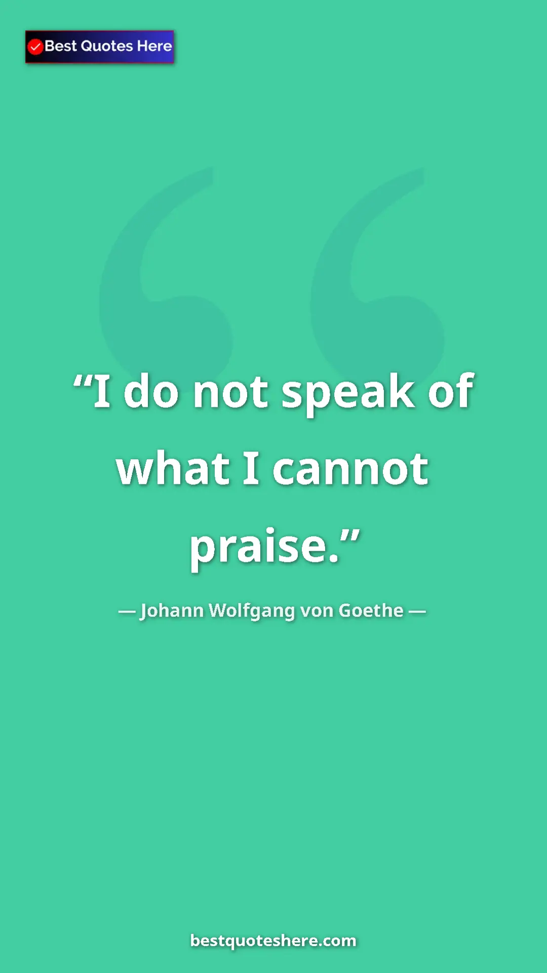 Pinterest quote poster by Johann Wolfgang von Goethe: "I do not speak of what I cannot praise."