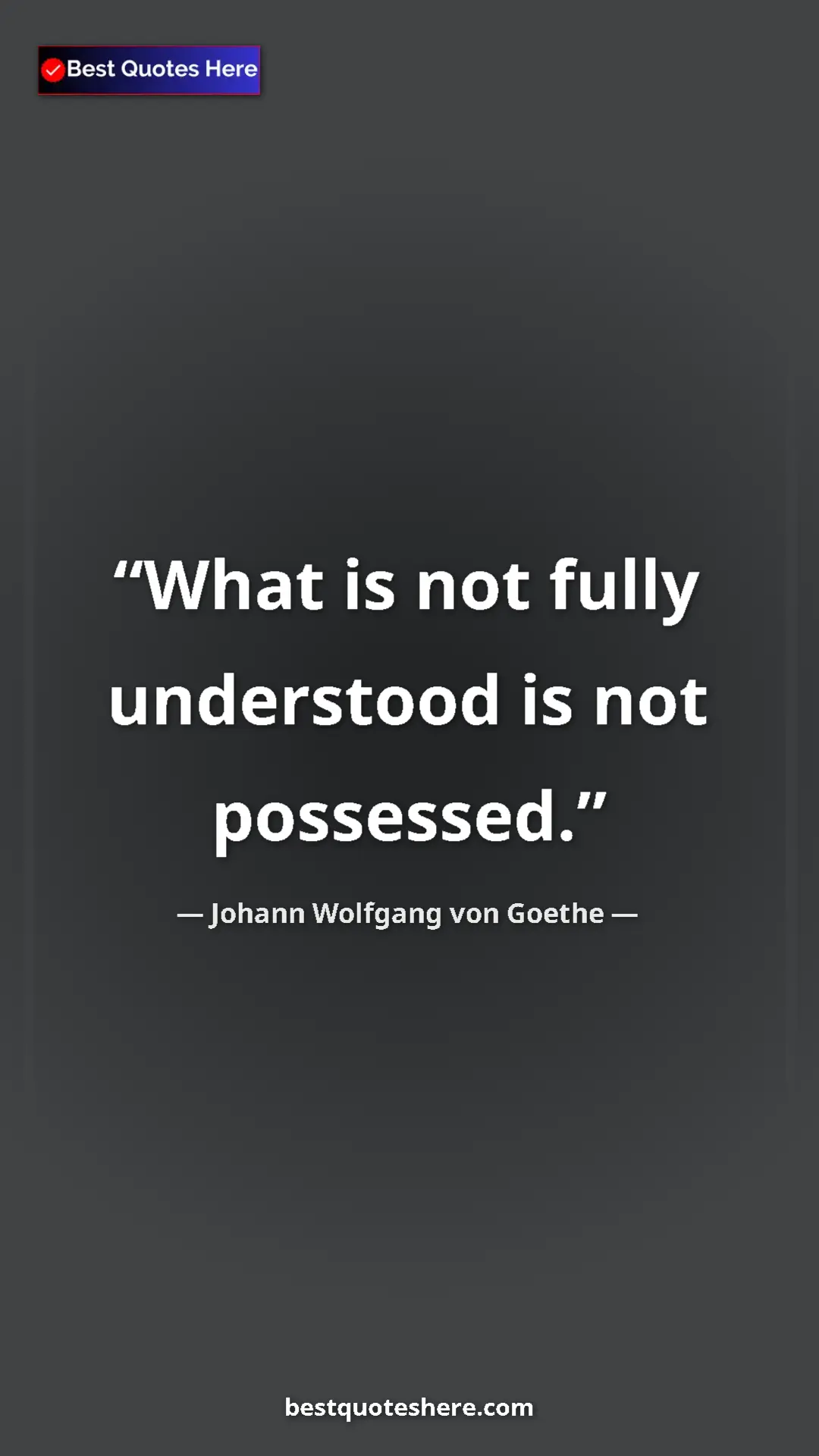 Pinterest quote poster by Johann Wolfgang von Goethe: "What is not fully understood is not possessed."