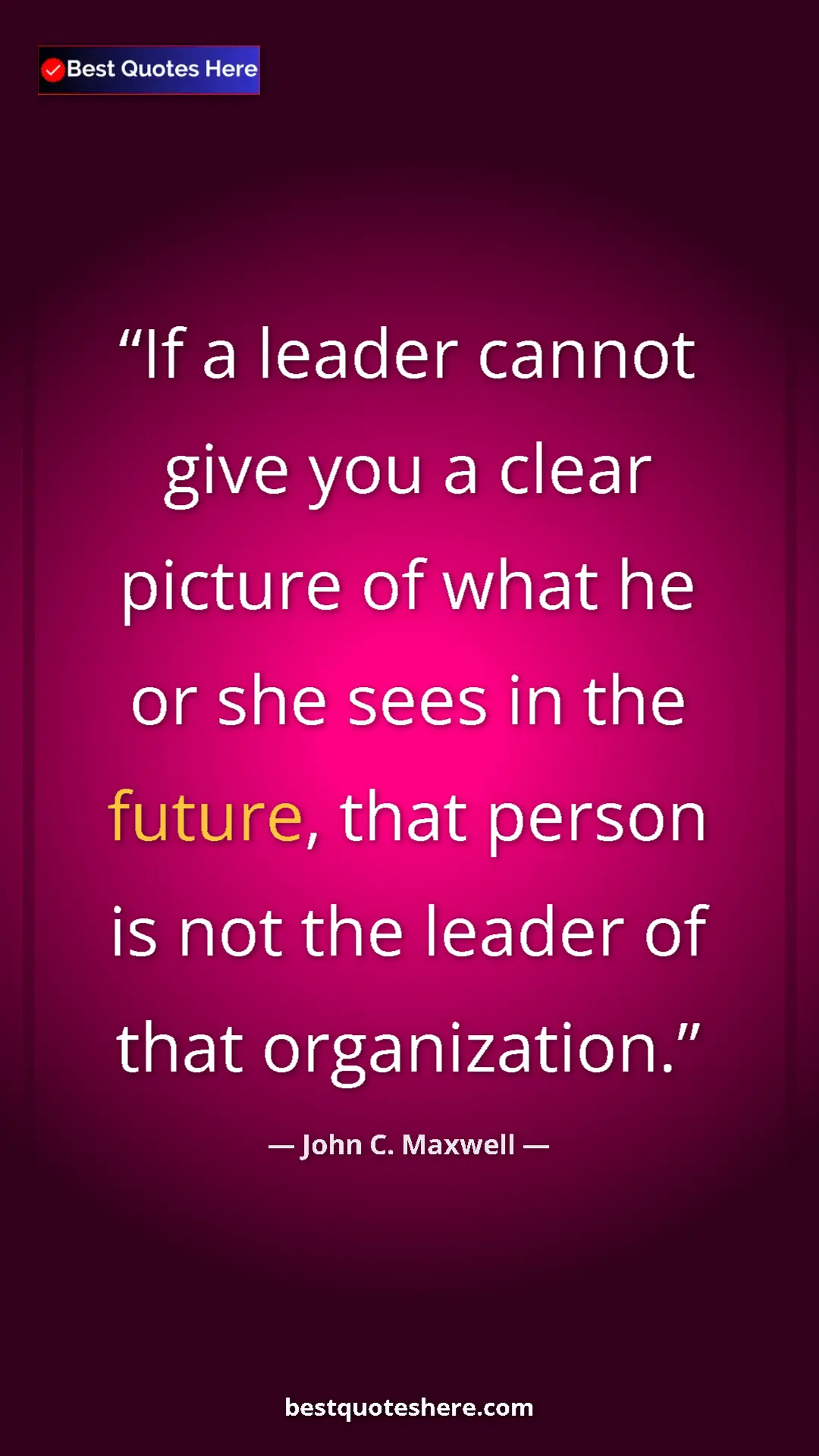 Pinterest quote poster by John C. Maxwell: "If a leader cannot give you a clear picture of what he or..."