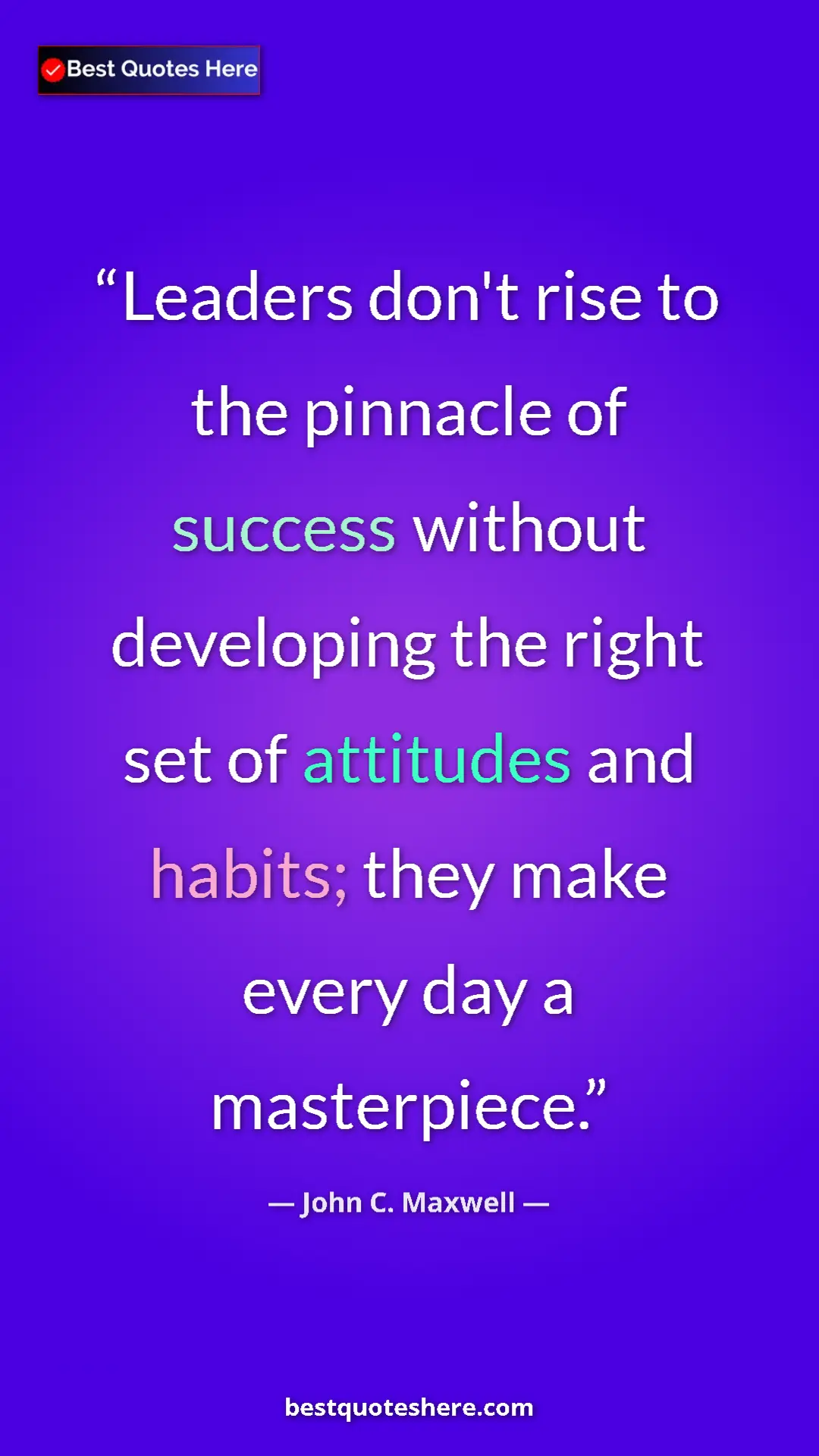 Pinterest quote poster by John C. Maxwell: "Leaders don't rise to the pinnacle of success without..."