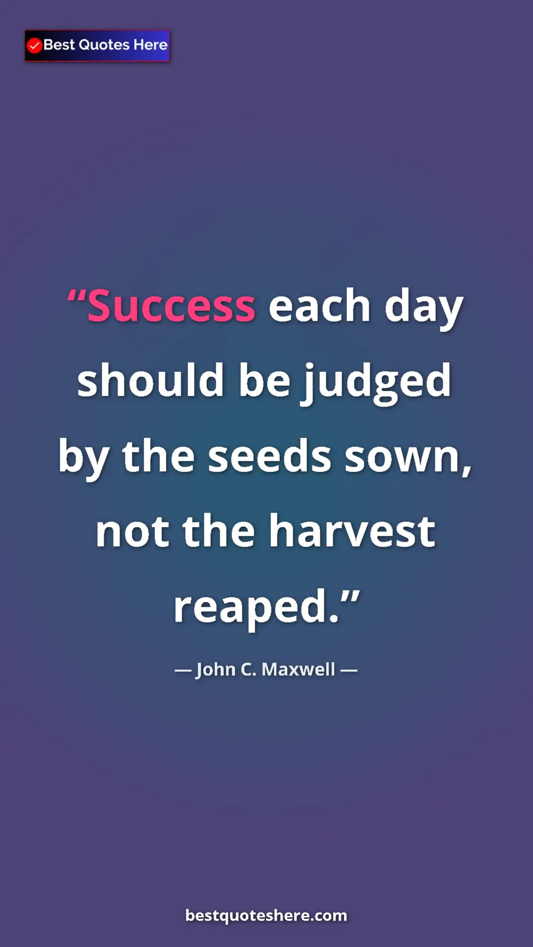 Pinterest quote poster by John C. Maxwell: "Success each day should be judged by the seeds sown, not..."