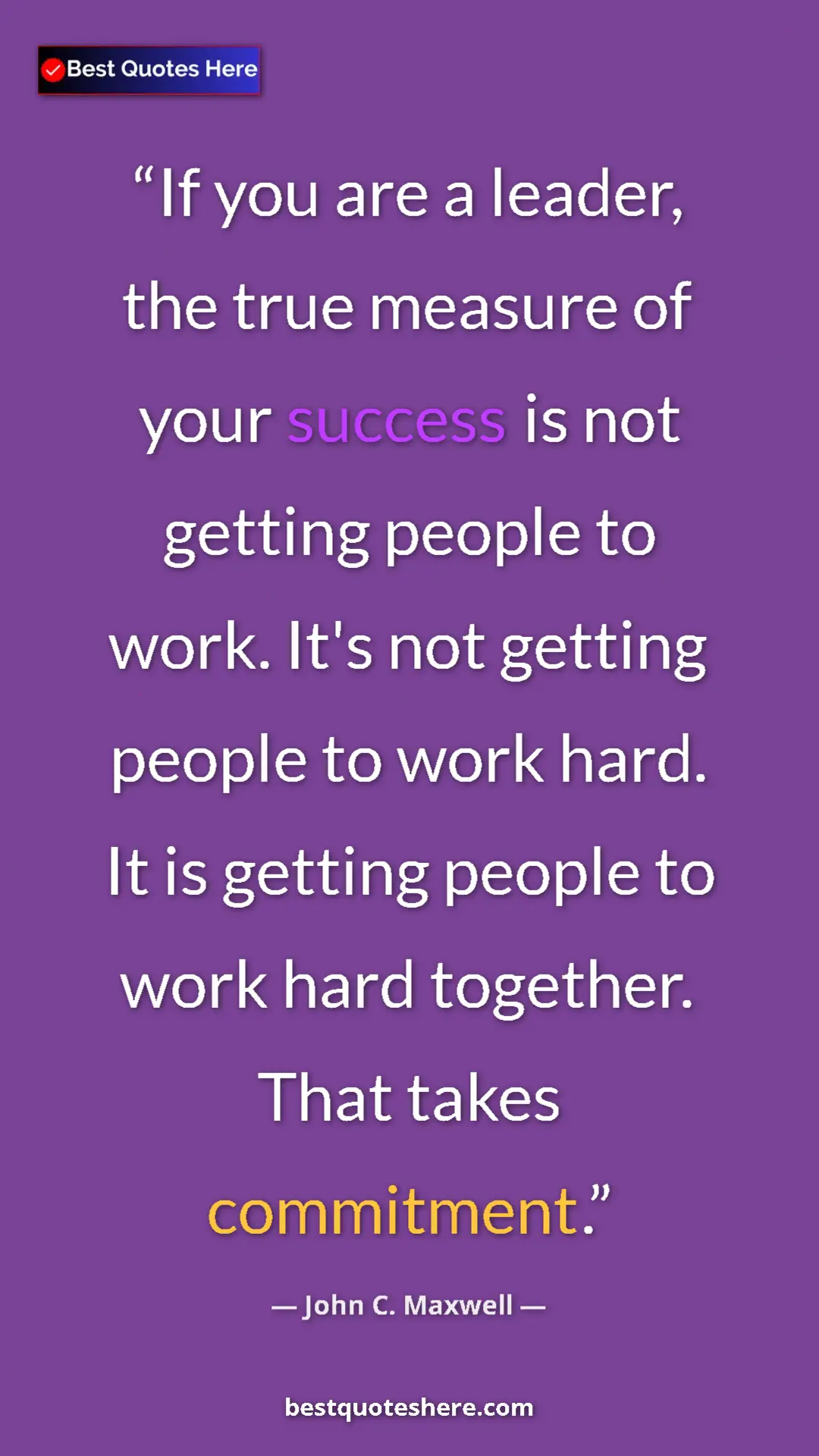 Pinterest quote poster by John C. Maxwell: "If you are a leader, the true measure of your success is..."