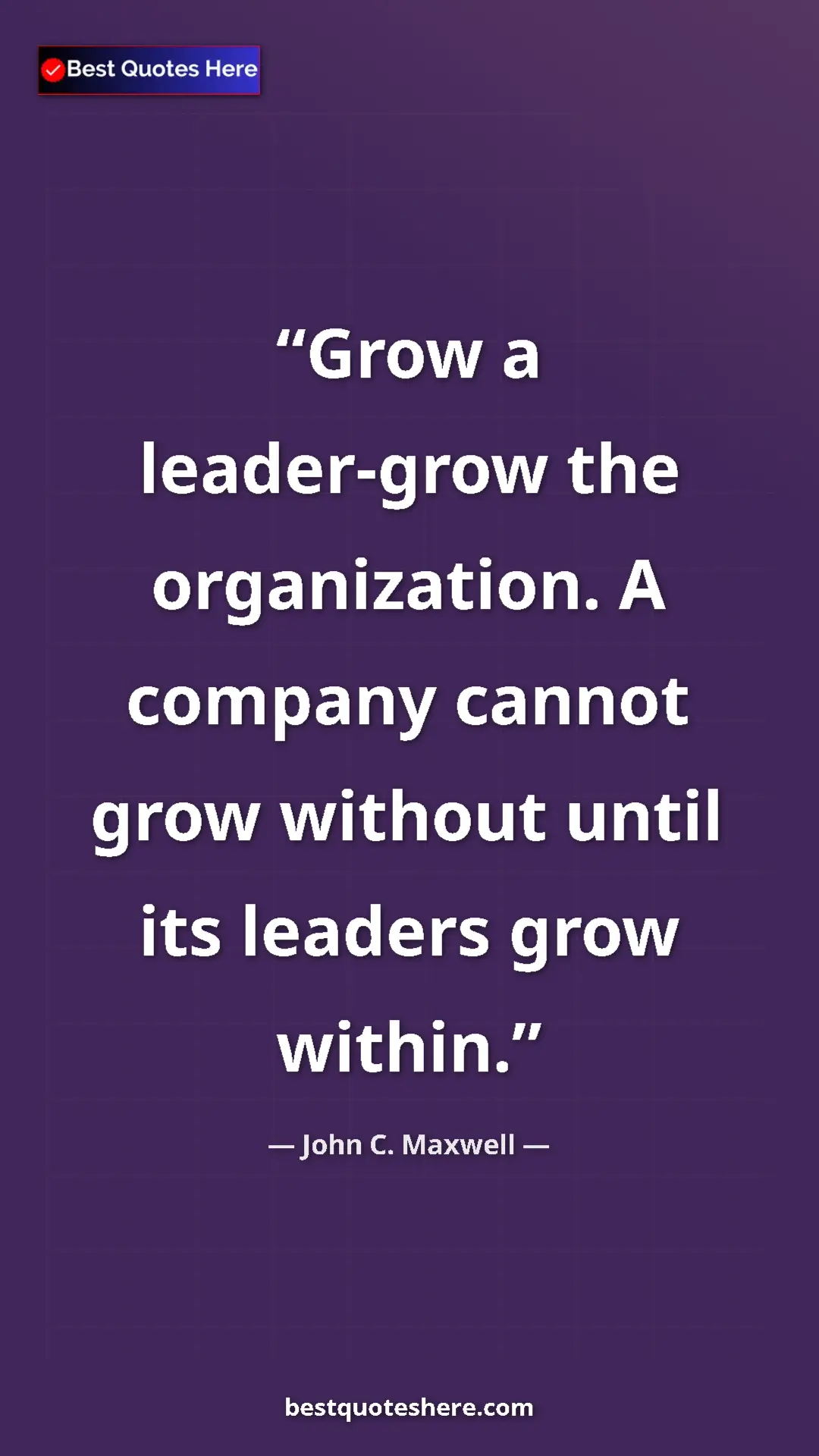 Pinterest quote poster by John C. Maxwell: "Grow a leader-grow the organization. A company cannot grow..."