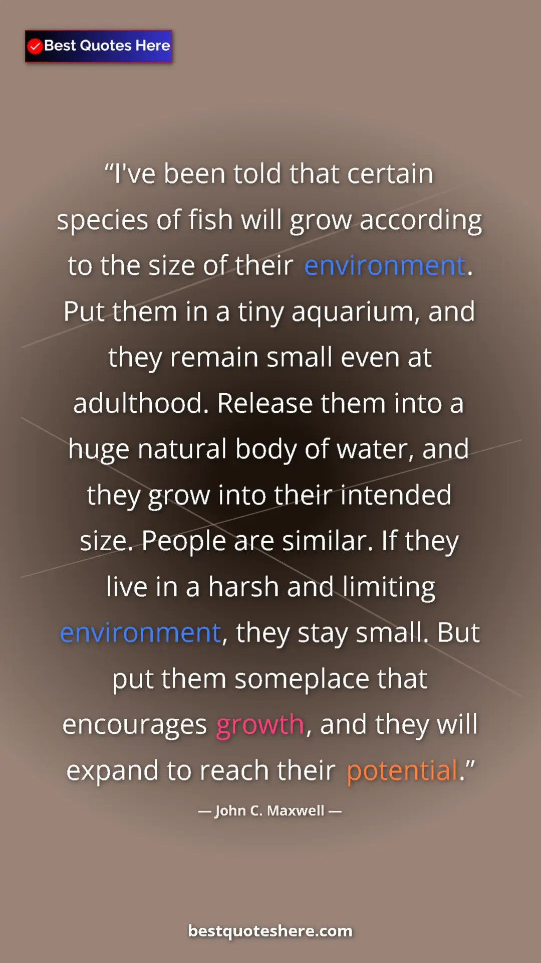 Pinterest quote poster by John C. Maxwell: "I've been told that certain species of fish will grow..."