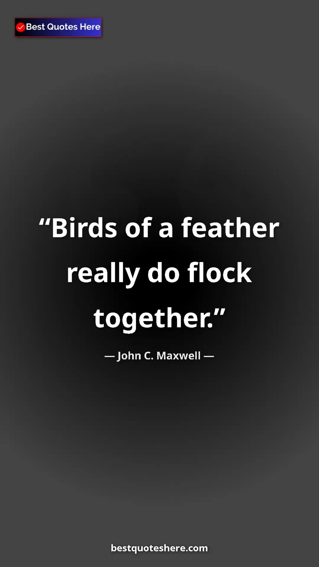 John C. Maxwell Quote Card: "Birds of a feather really do flock together." Pinterest quote poster by John C. Maxwell: "Birds of a feather really do flock together."