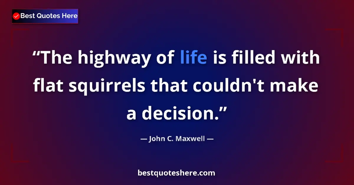 Image for the quote by John C Maxwell: The highway of life is filled with flat squirrels that couldn't make a decision....