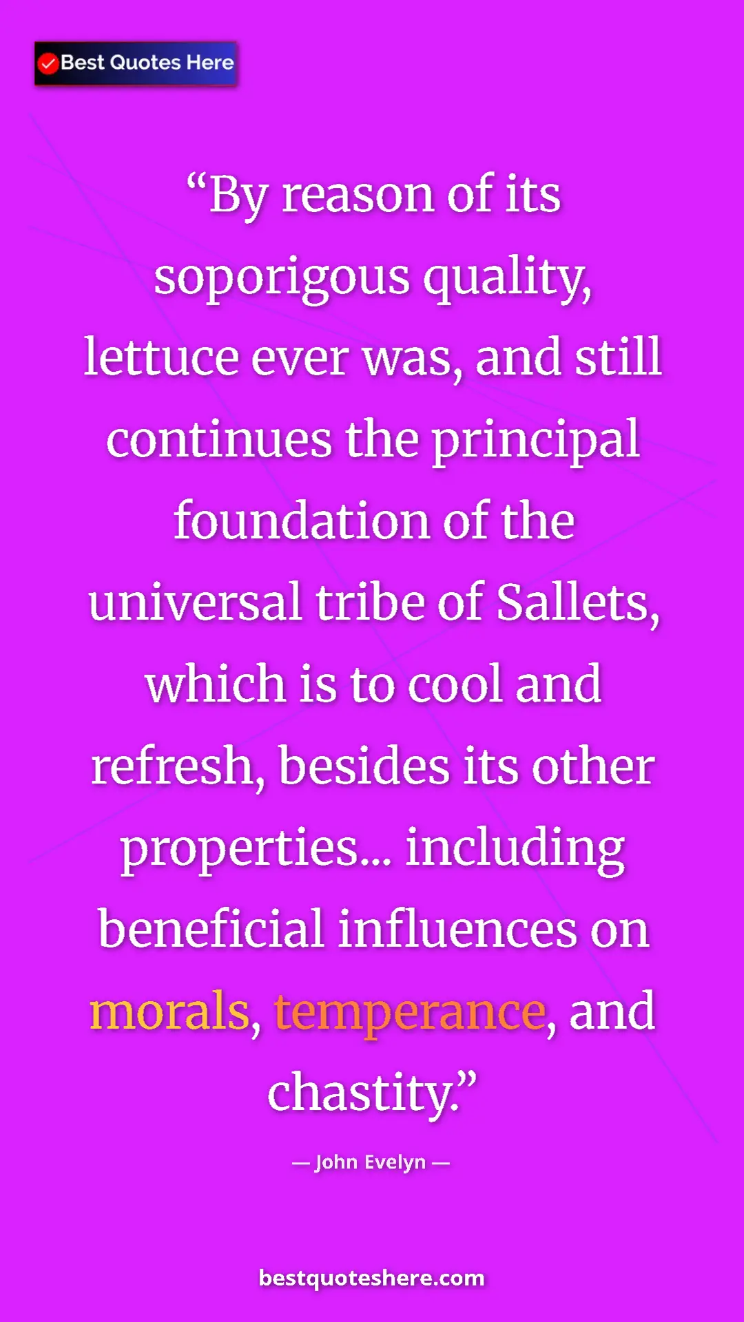 John Evelyn Quote Card: "By reason of its soporigous quality, lettuce ever was, and..." Pinterest quote poster by John Evelyn: "By reason of its soporigous quality, lettuce ever was, and..."