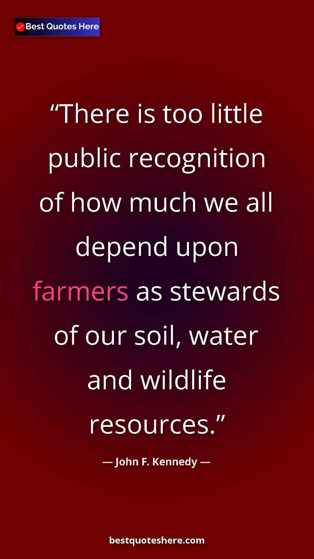 John F. Kennedy Quote Card: "There is too little public recognition of how much we all..." Pinterest quote poster by John F. Kennedy: "There is too little public recognition of how much we all..."