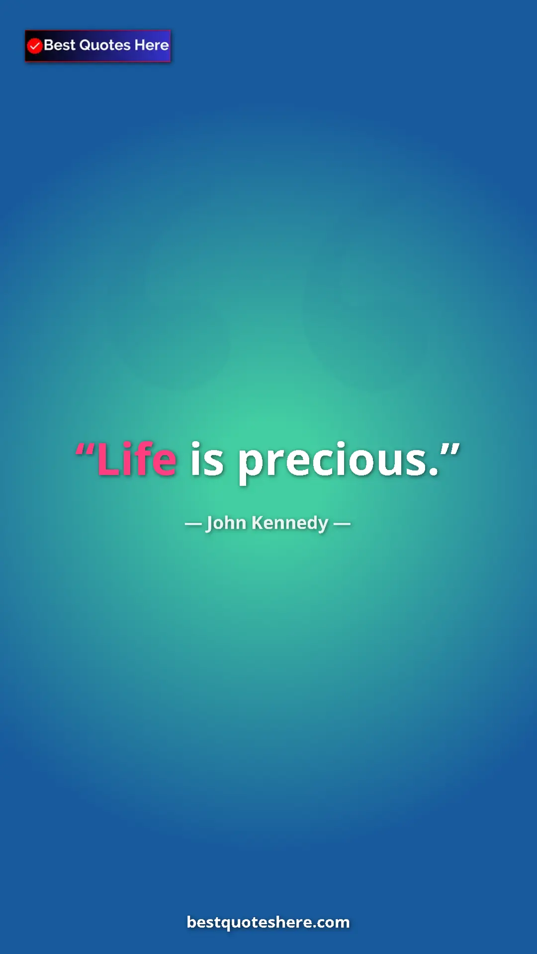 Pinterest quote poster by John Kennedy: "Life is precious."