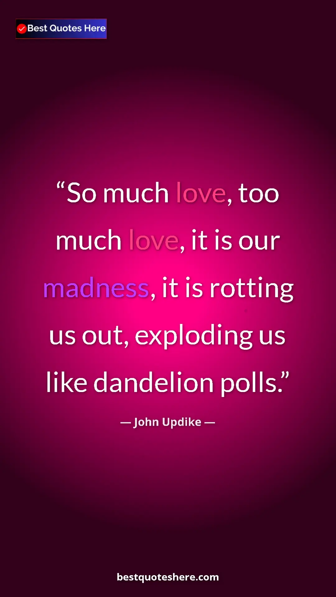 Pinterest quote poster by John Updike: "So much love, too much love, it is our madness, it is..."