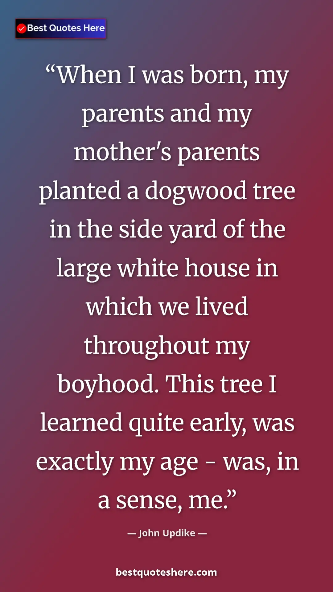 Pinterest quote poster by John Updike: "When I was born, my parents and my mother's parents planted..."