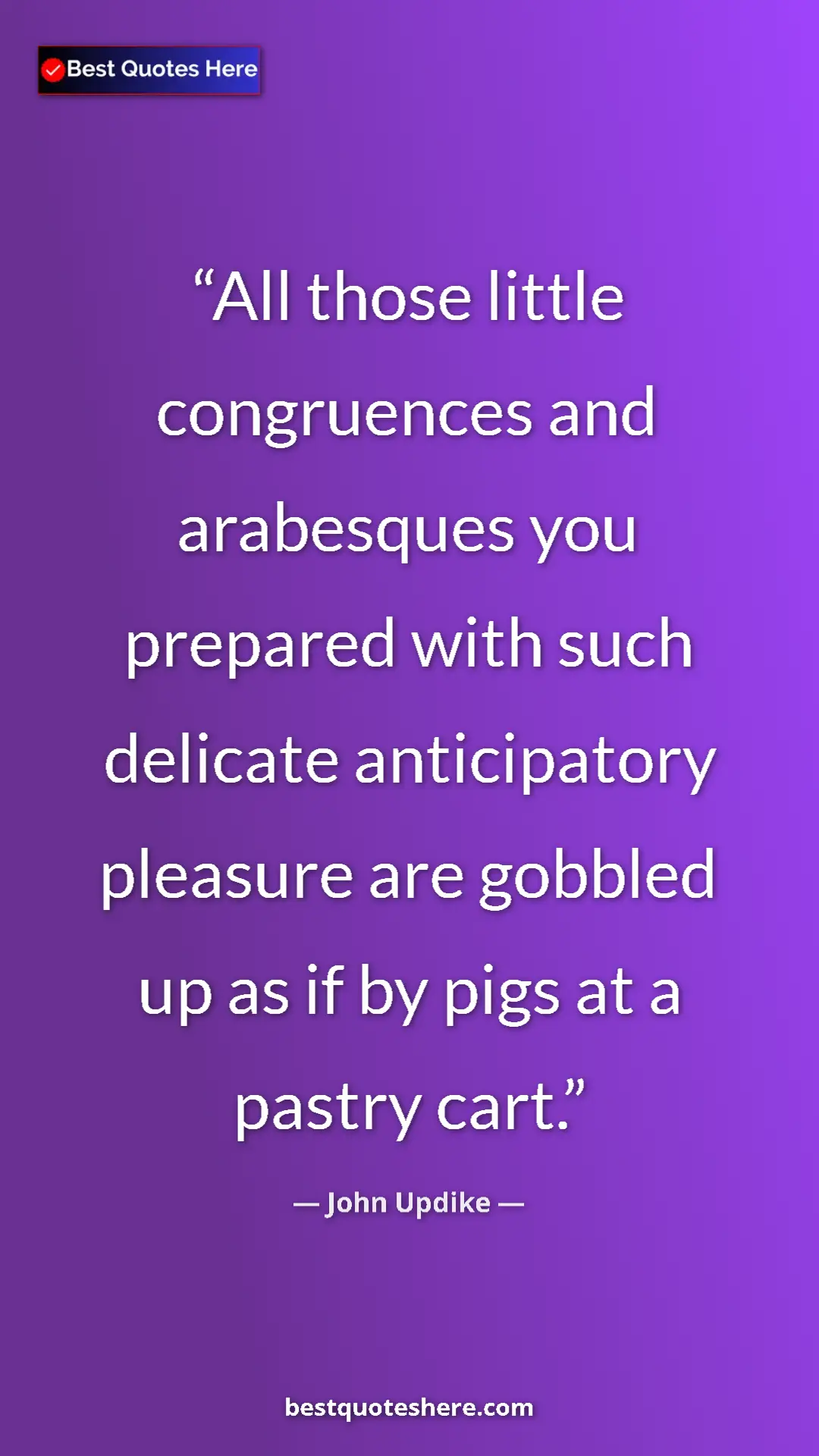 Pinterest quote poster by John Updike: "All those little congruences and arabesques you prepared..."