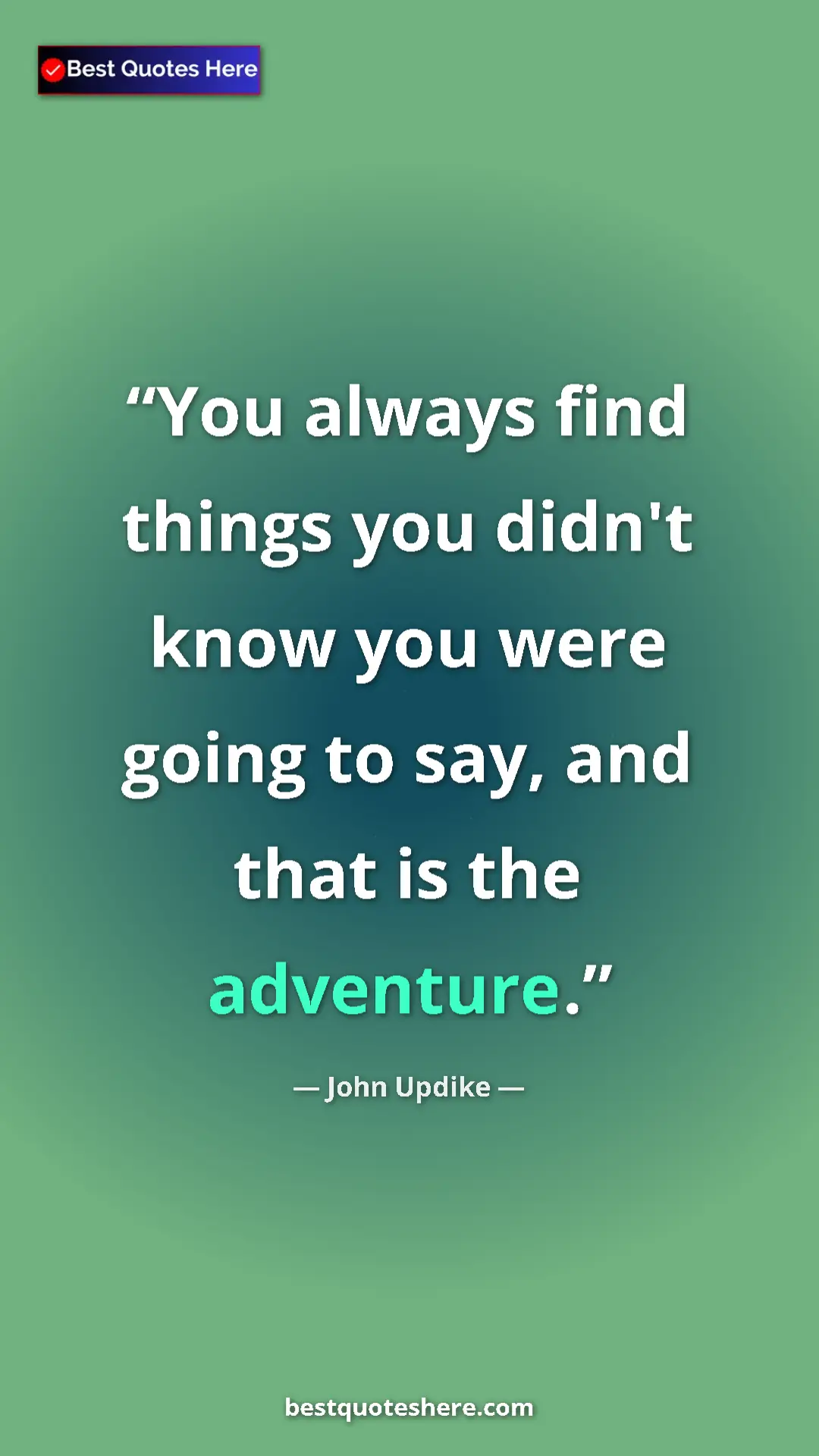 Pinterest quote poster by John Updike: "You always find things you didn't know you were going to..."