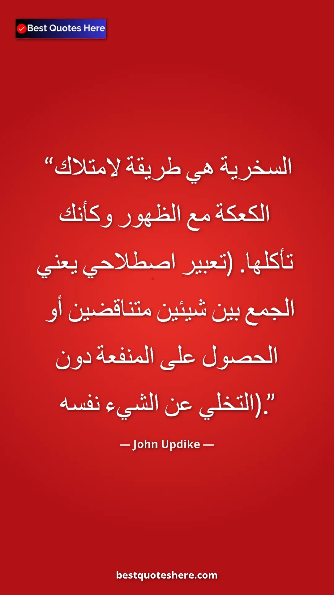 Pinterest quote poster by John Updike: "irony is a way of having one's cake while appearing to eat..."