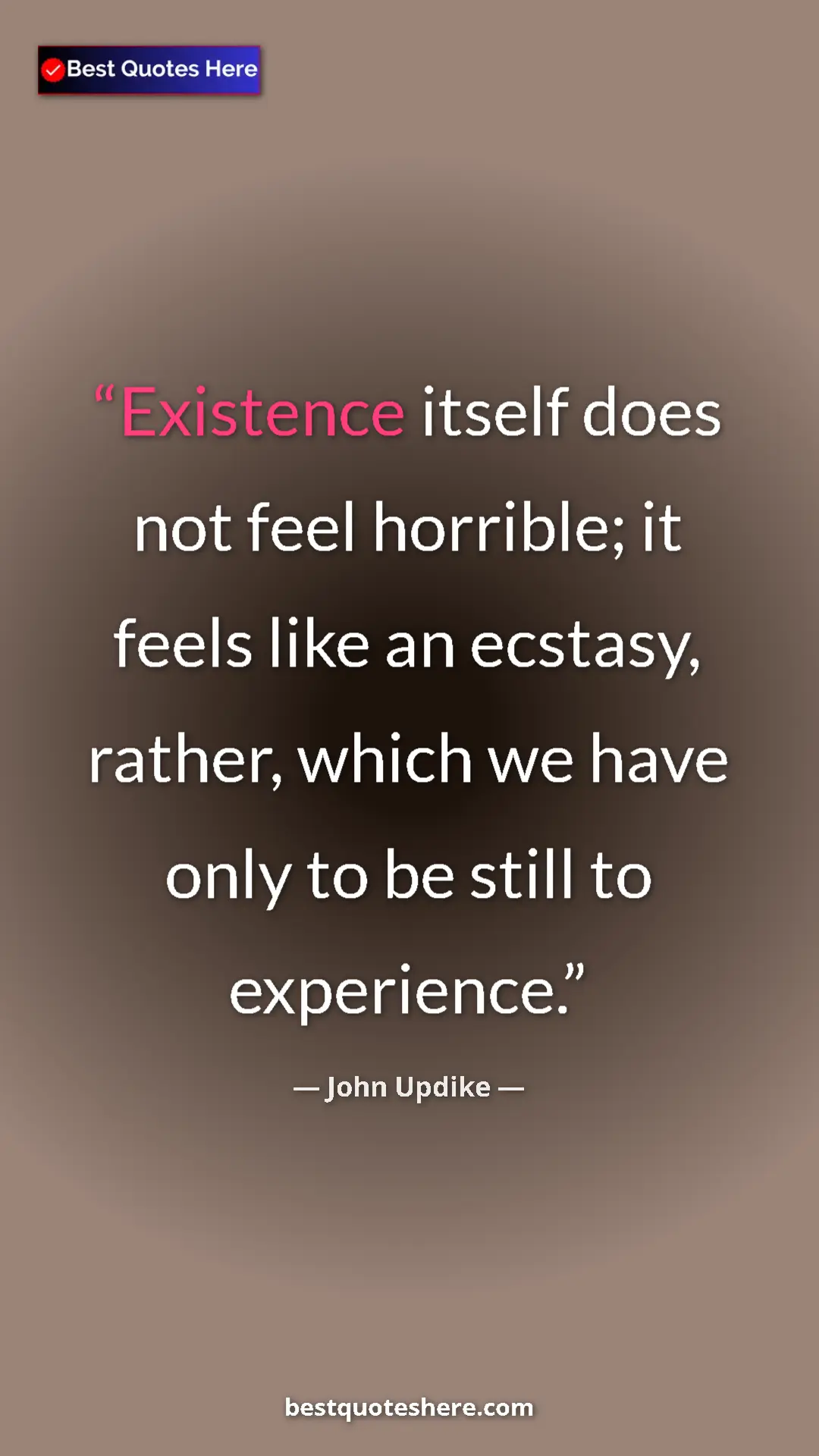 Pinterest quote poster by John Updike: "Existence itself does not feel horrible; it feels like an..."