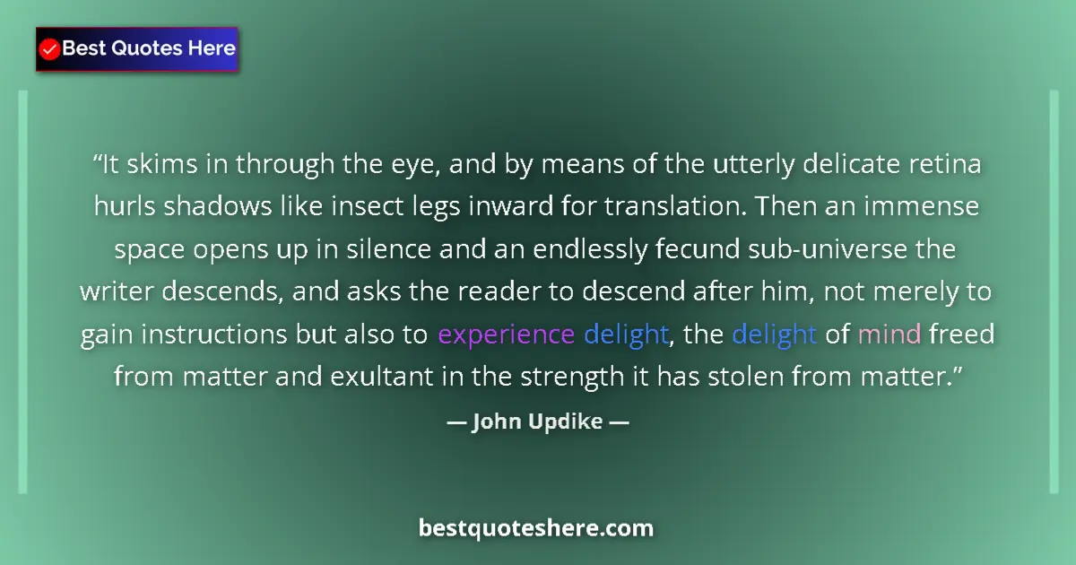Quote by John Updike: It skims in through the eye, and by means of the utterly delicate retina hurls shadows like insect l...