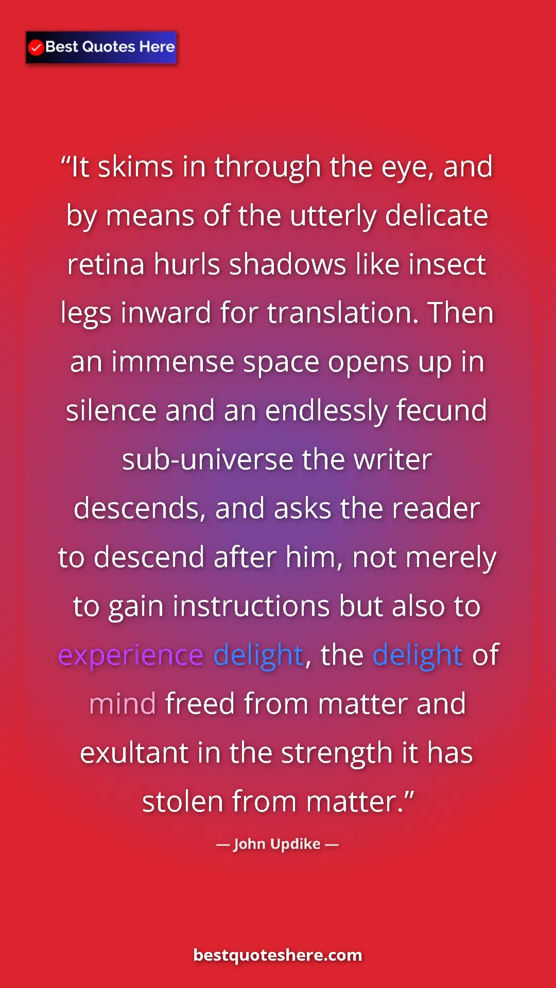 Pinterest quote poster by John Updike: "It skims in through the eye, and by means of the utterly..."