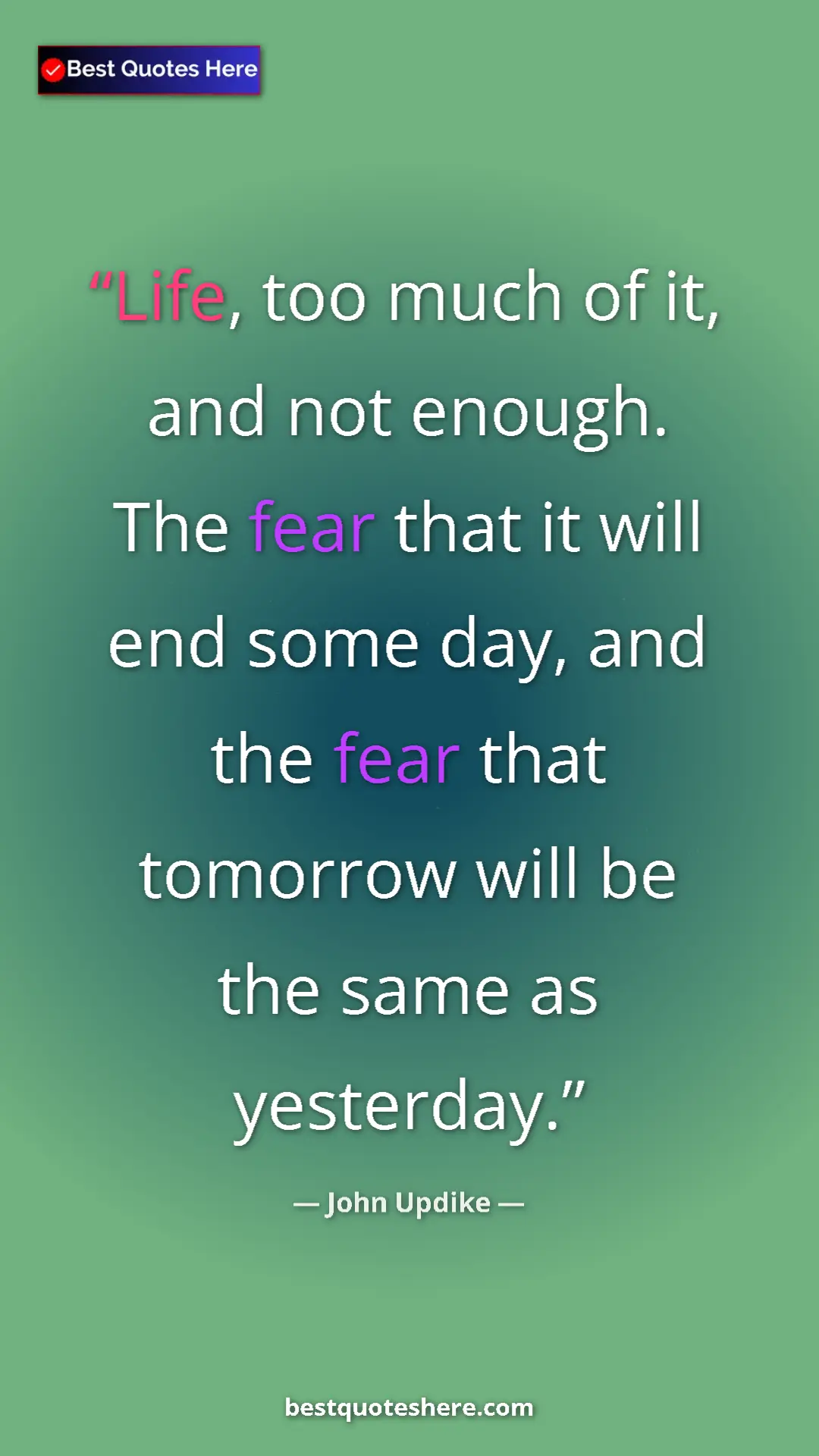 Pinterest quote poster by John Updike: "Life, too much of it, and not enough. The fear that it will..."