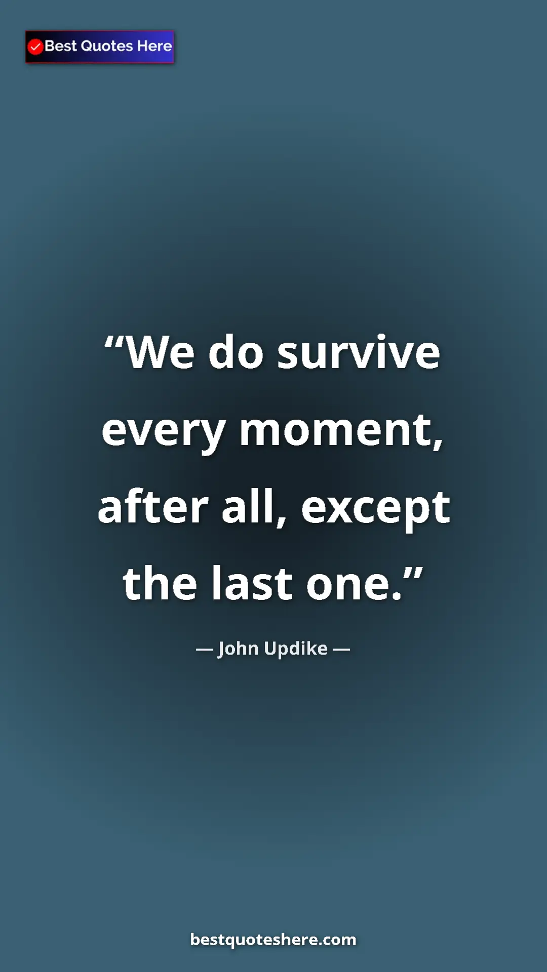 Pinterest quote poster by John Updike: "We do survive every moment, after all, except the last one."